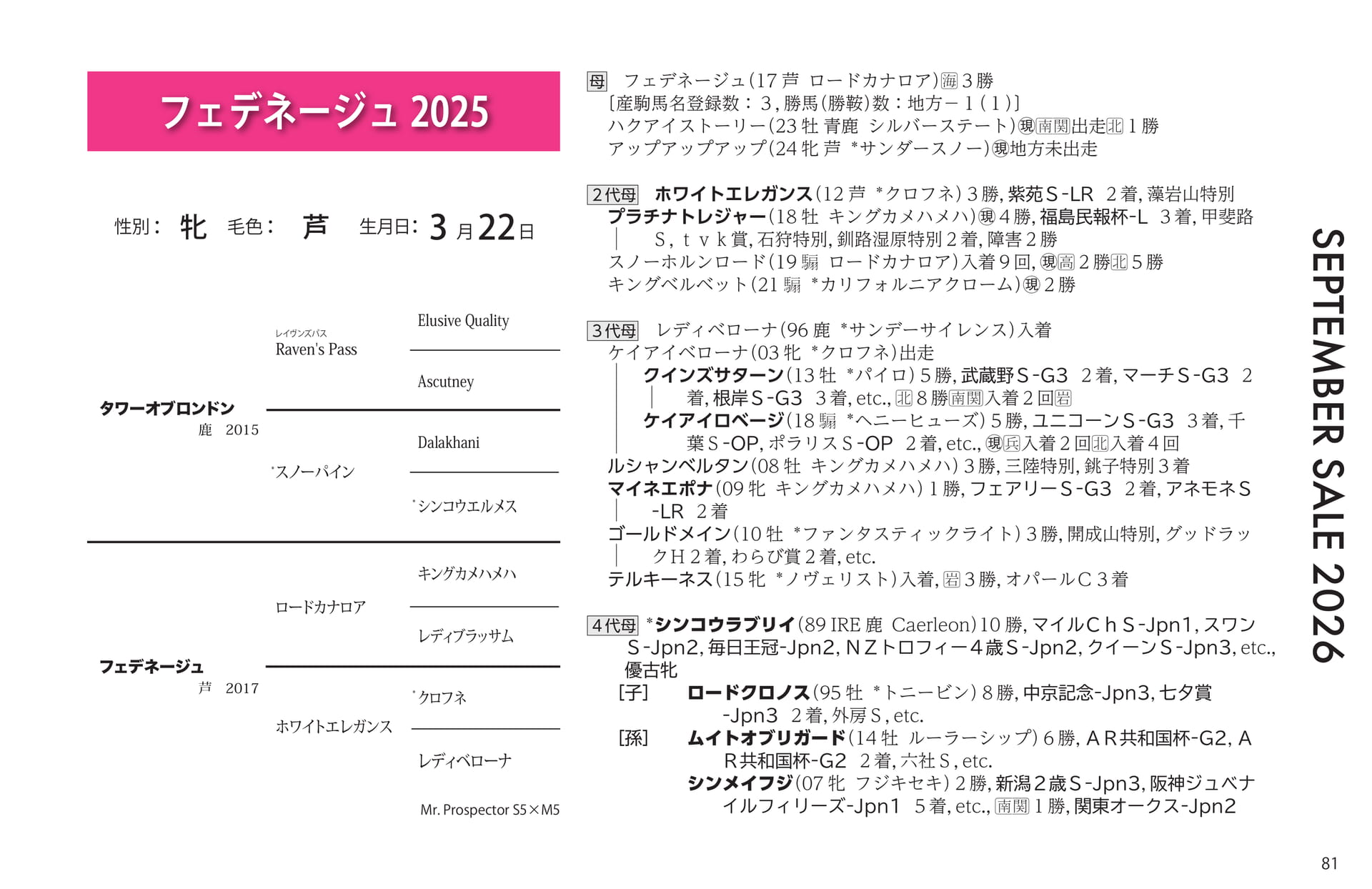 フェデネージュ 2025 血統(81ページ目)