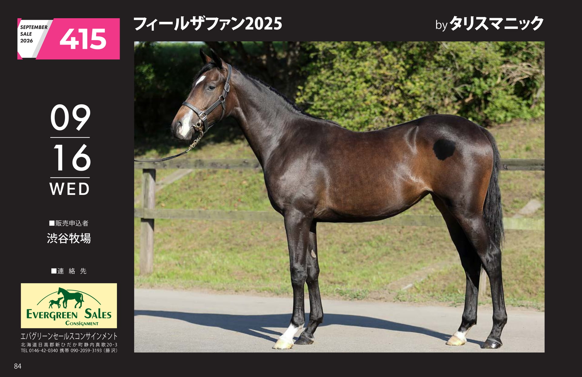 フィールザファン 2025(84ページ目)