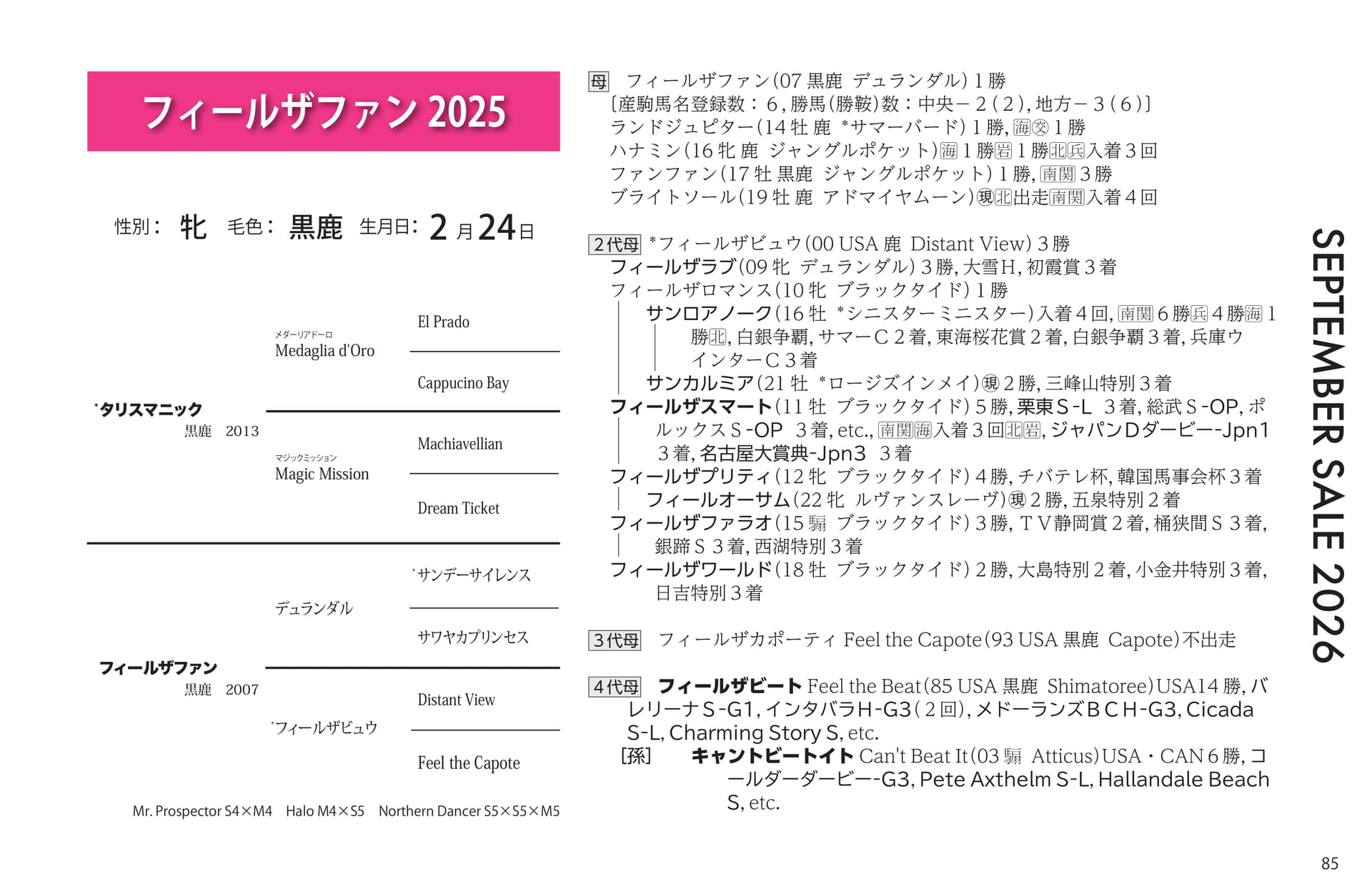 フィールザファン血統(85ページ目)