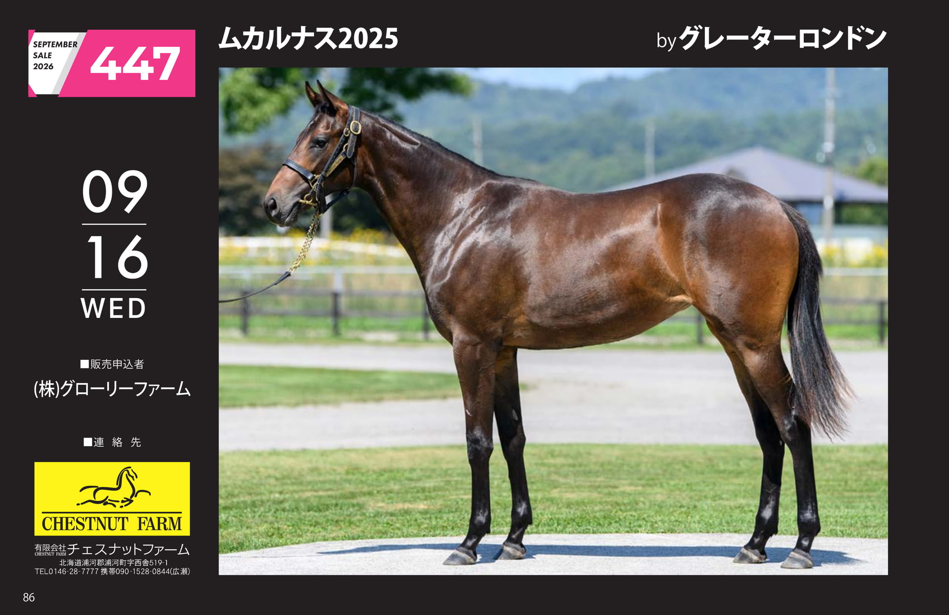 ムカルナス 2025(86ページ目)