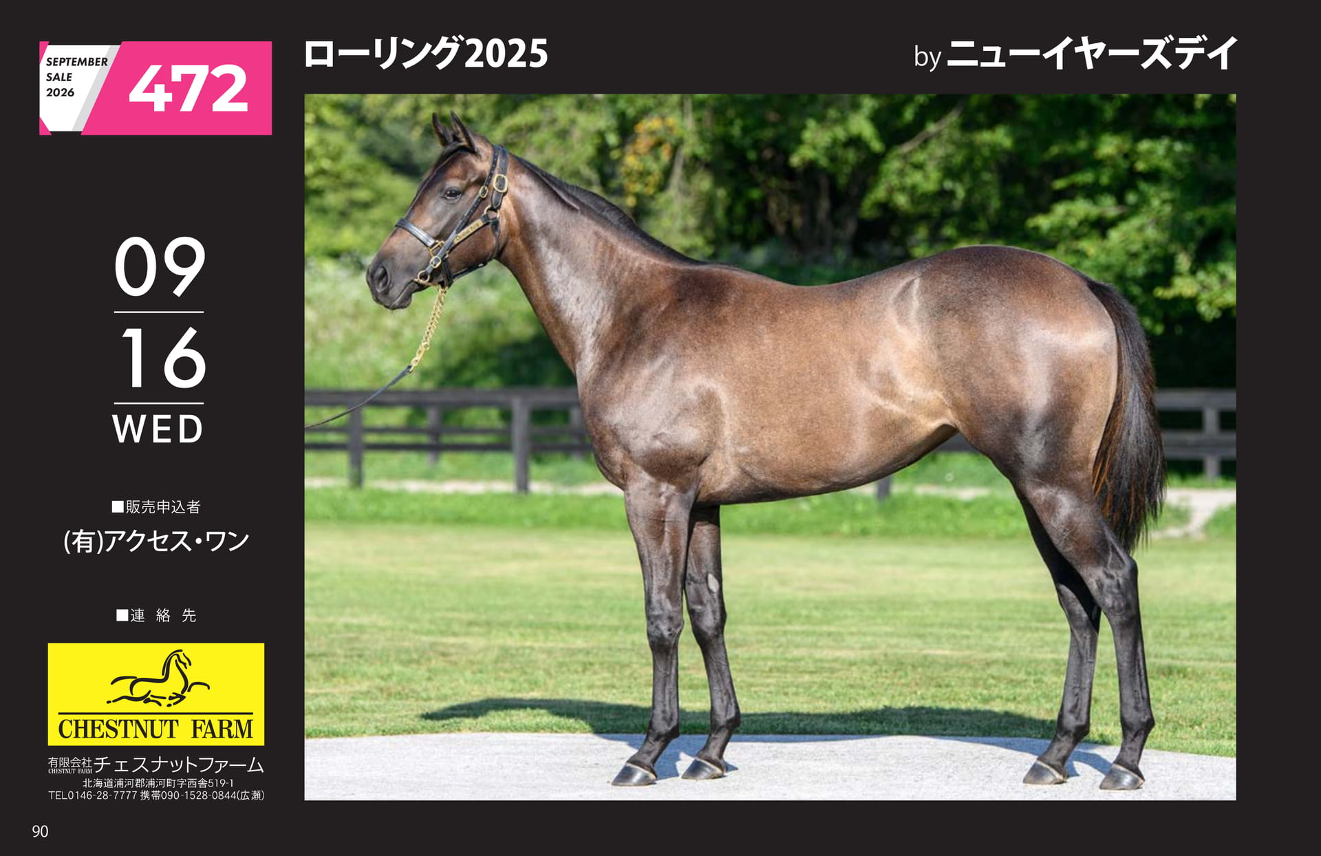ローリング 2025(90ページ目)