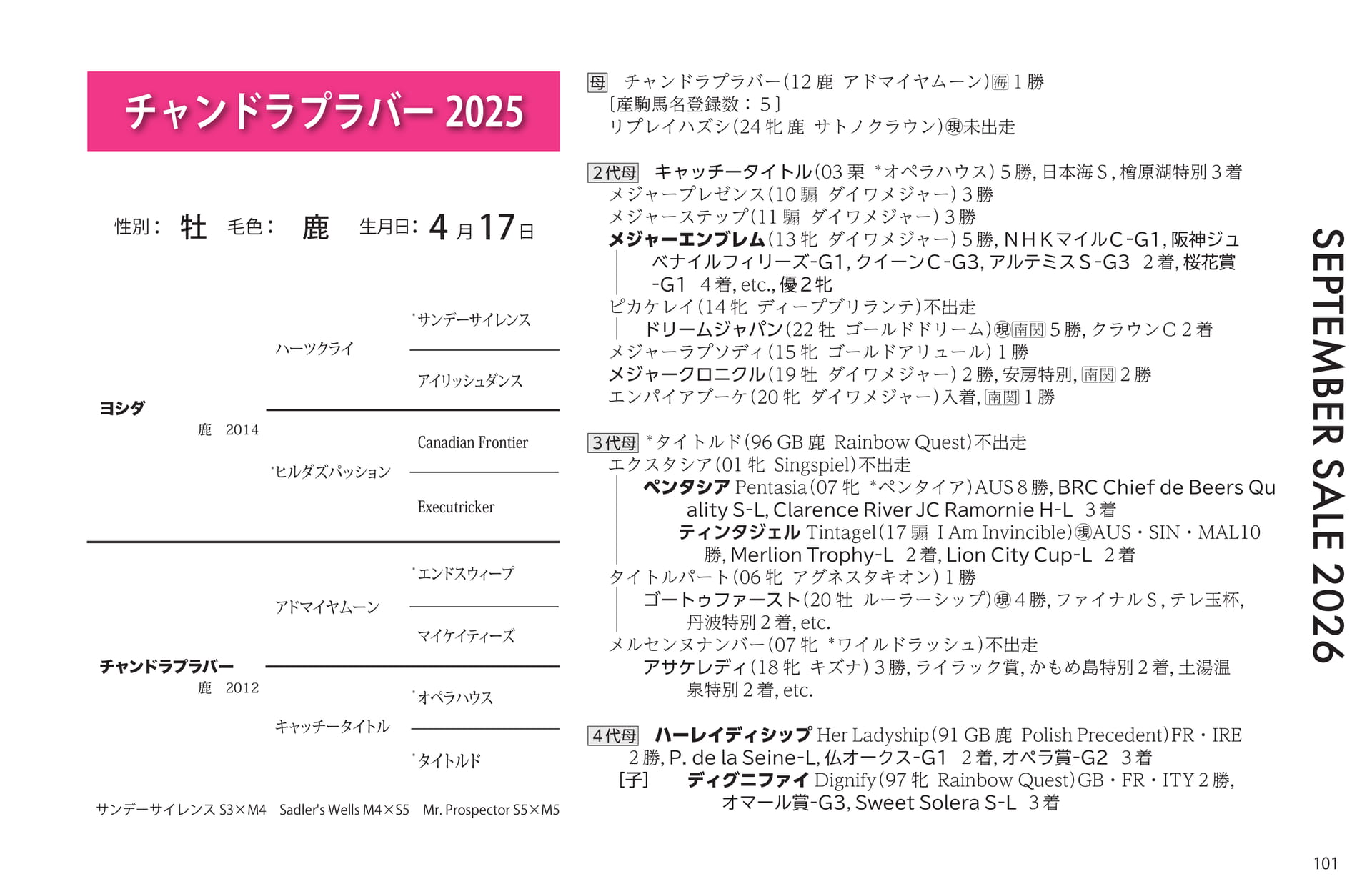 チャンドラプラバー 2025の血統書(101ページ目)
