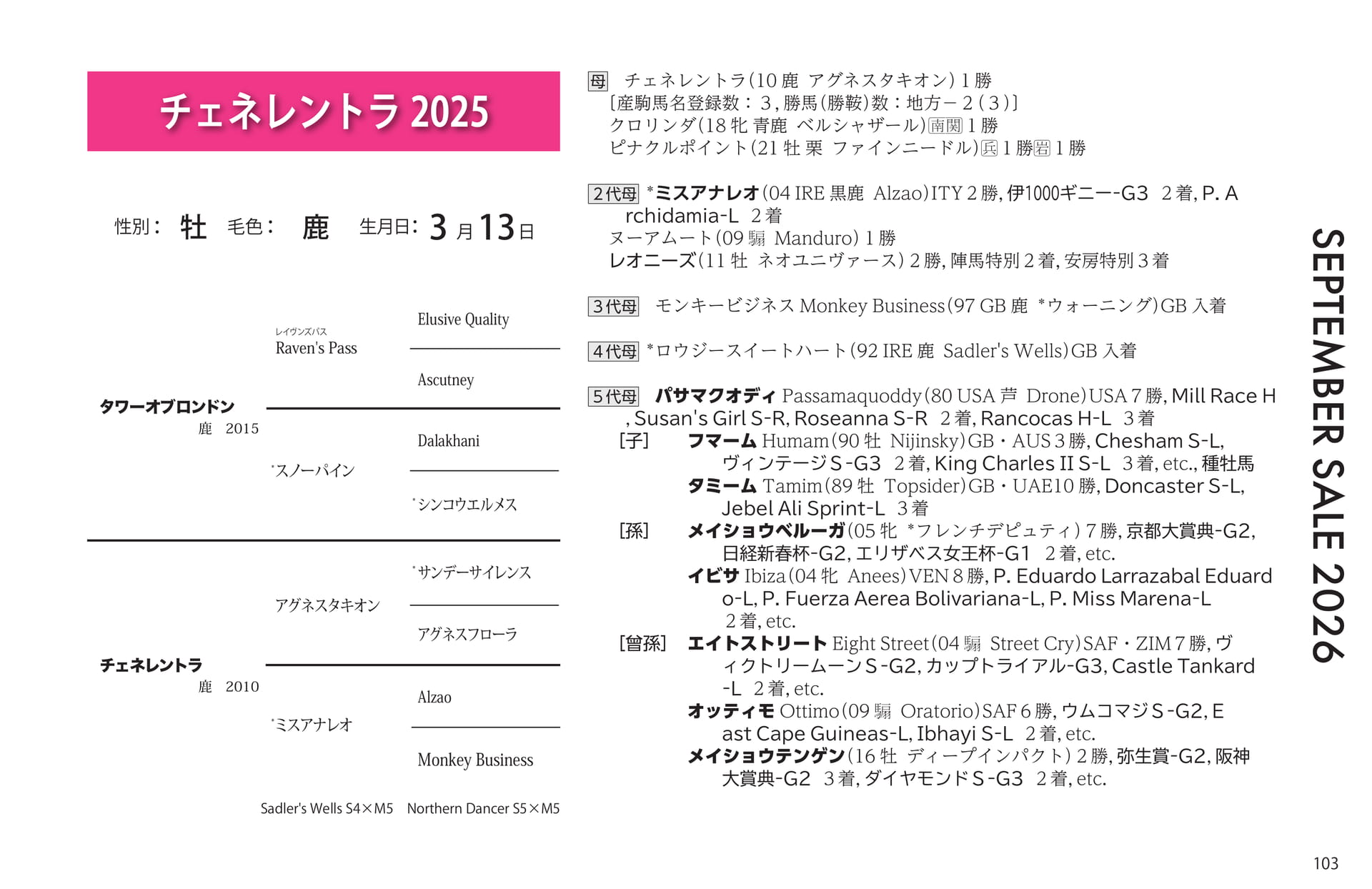チェネレントラ 2025の血統書(103ページ目)