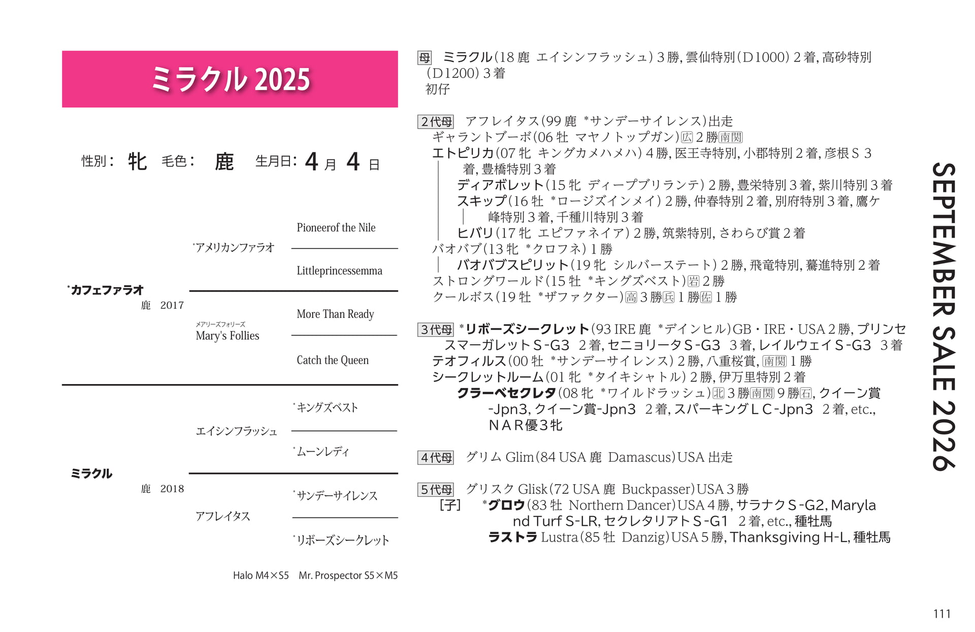 ミラクル 2025の血統書(111ページ目)