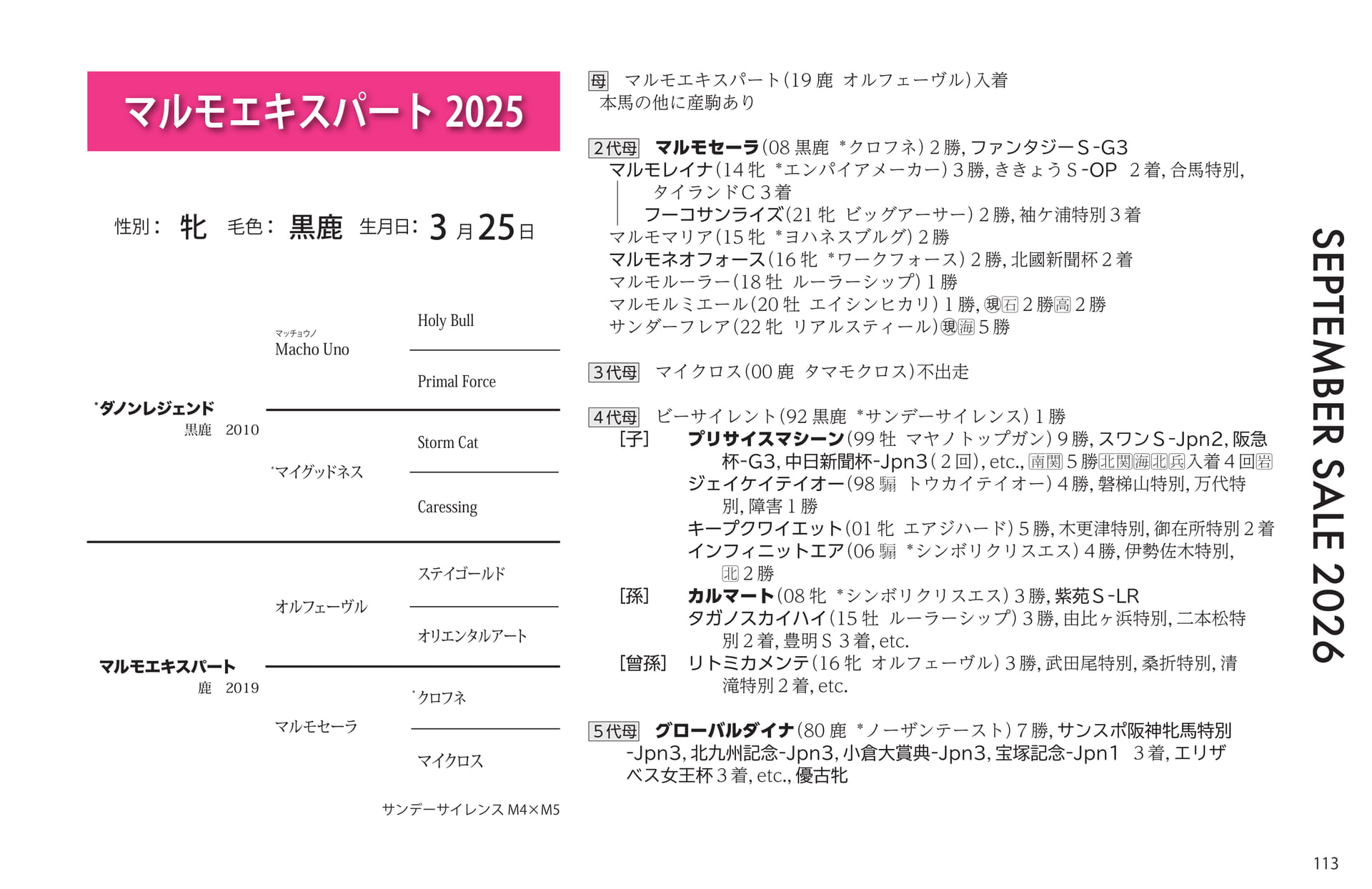 マルモエキスパート 2025の血統書(113ページ目)