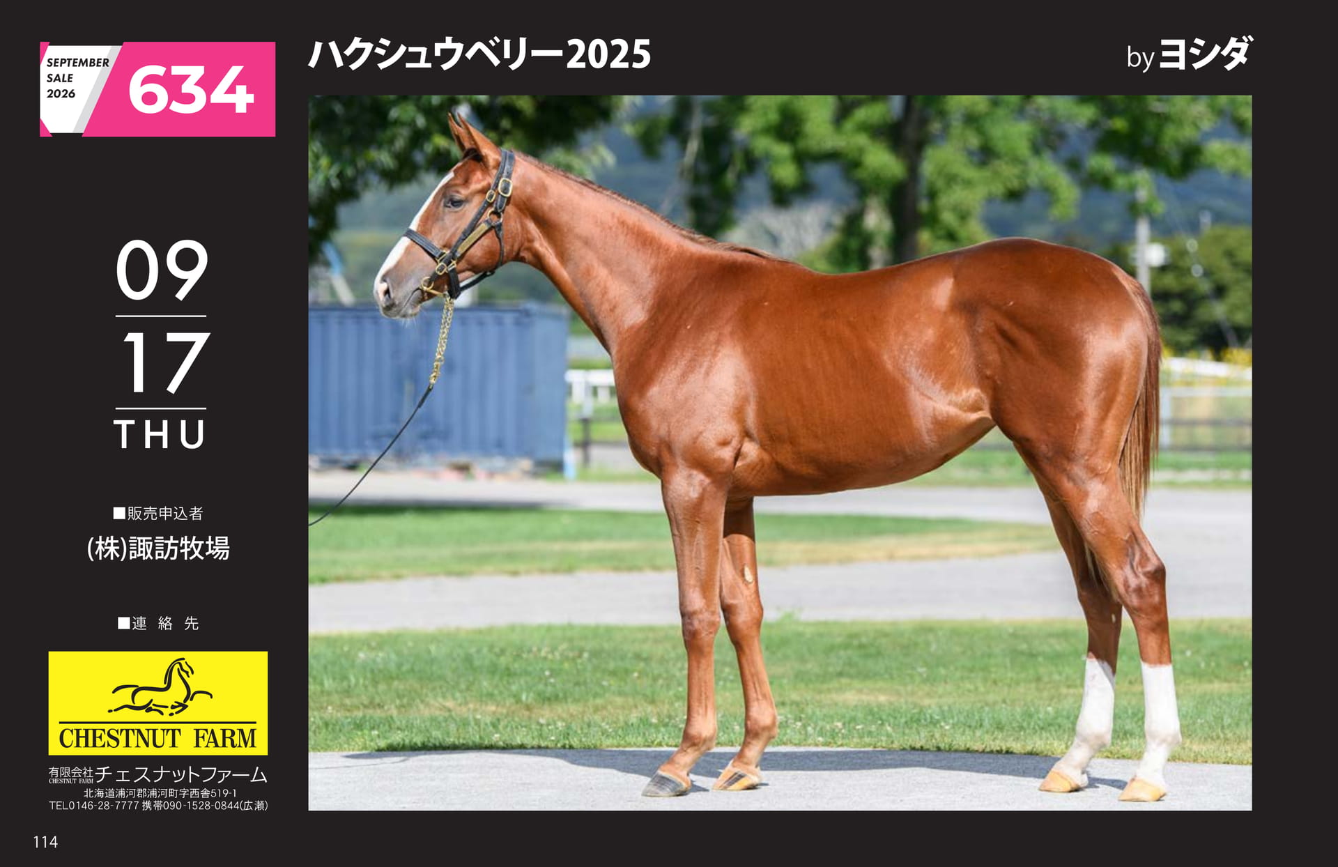 ハクシュウベリー 2025(114ページ目)