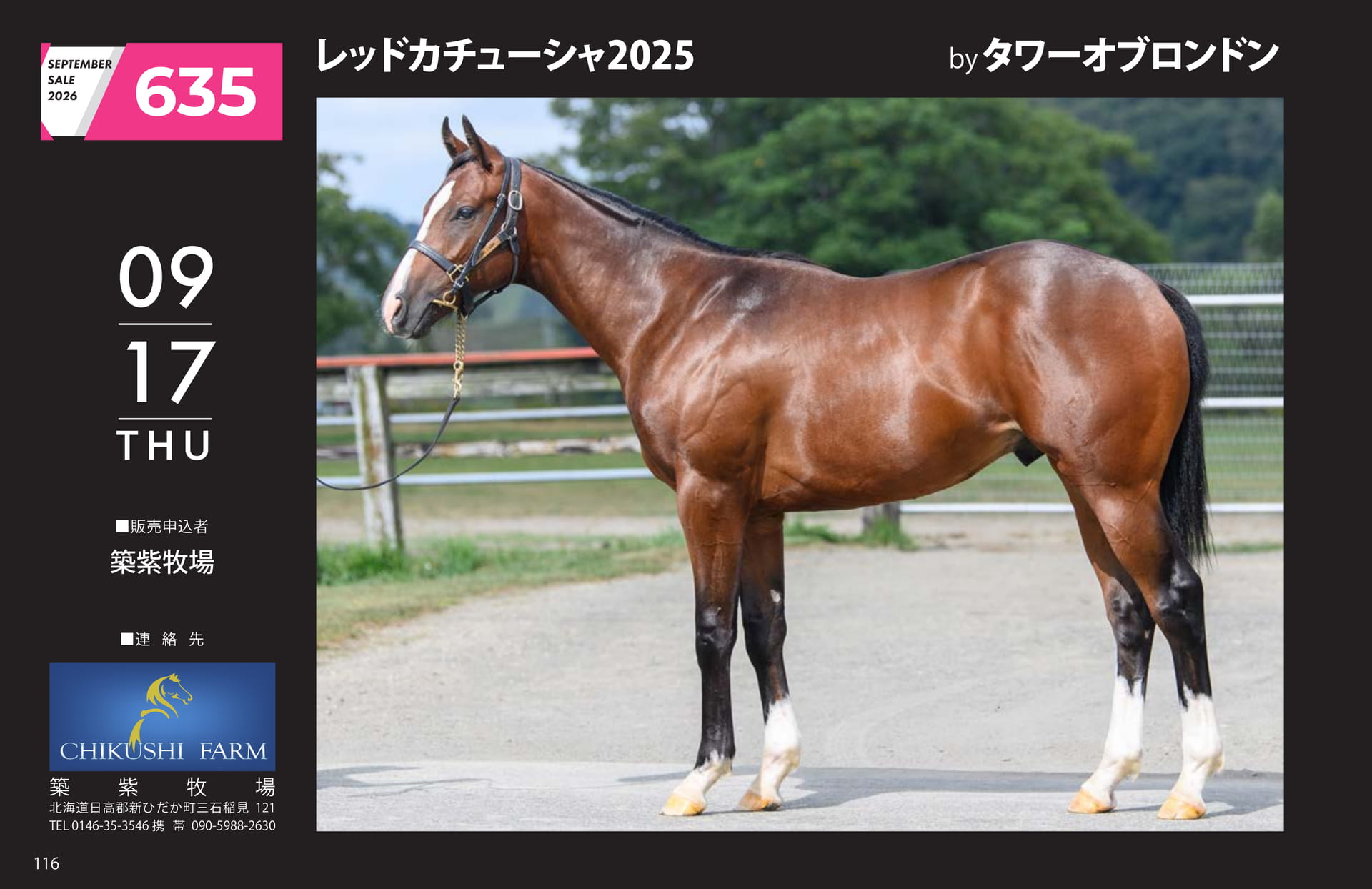 レッドカチューシャ 2025(116ページ目)