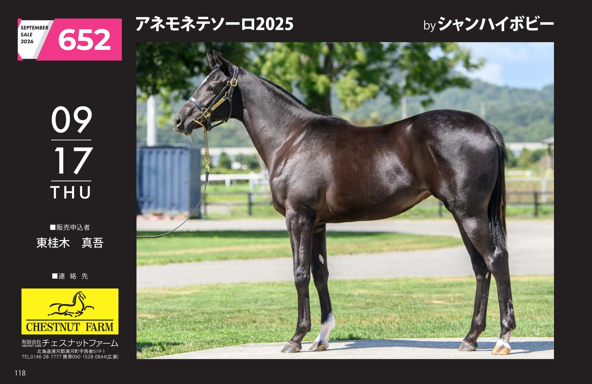 アネモネテソーロ 2025(118ページ目)