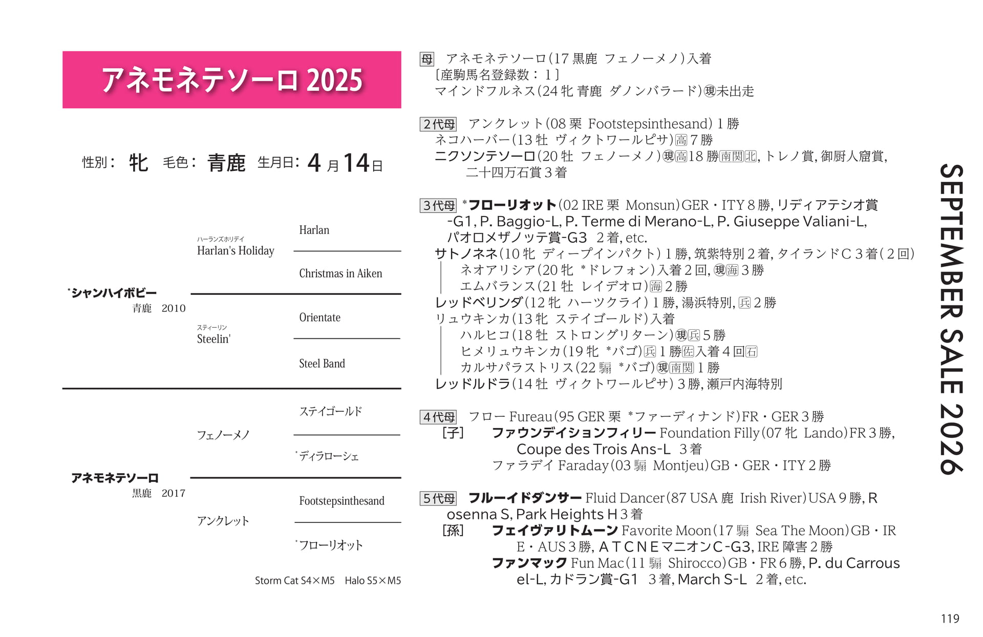 アネモネテソーロ 2025の血統書(119ページ目)