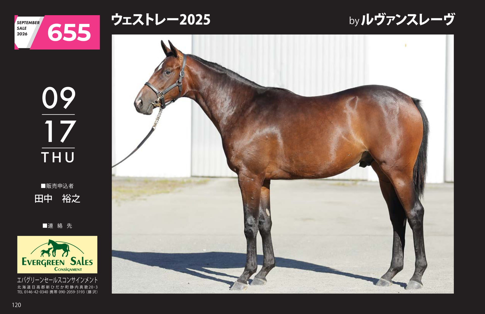 ウェストレー 2025(120ページ目)