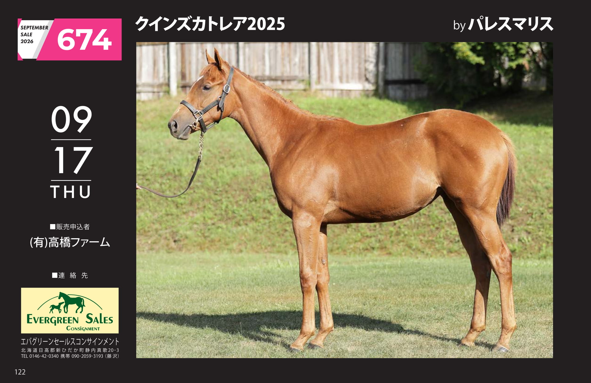 クインズカトレア 2025(122ページ目)