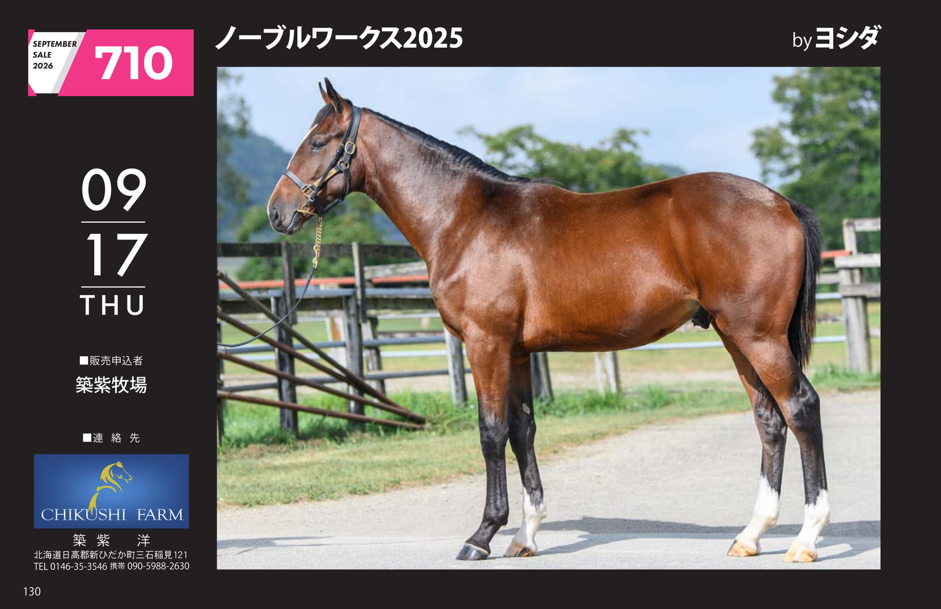 ノーブルワークス 2025(130ページ目)