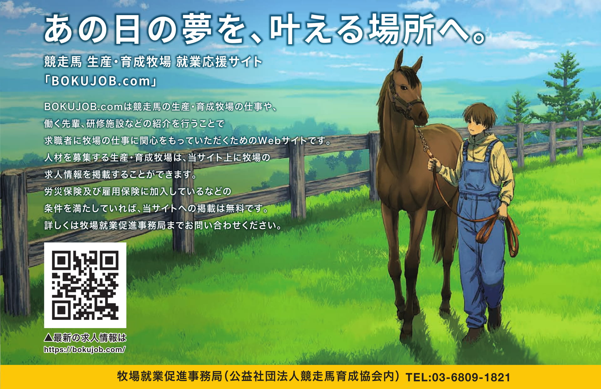 BOKUJOB.com 求人情報(135ページ目)