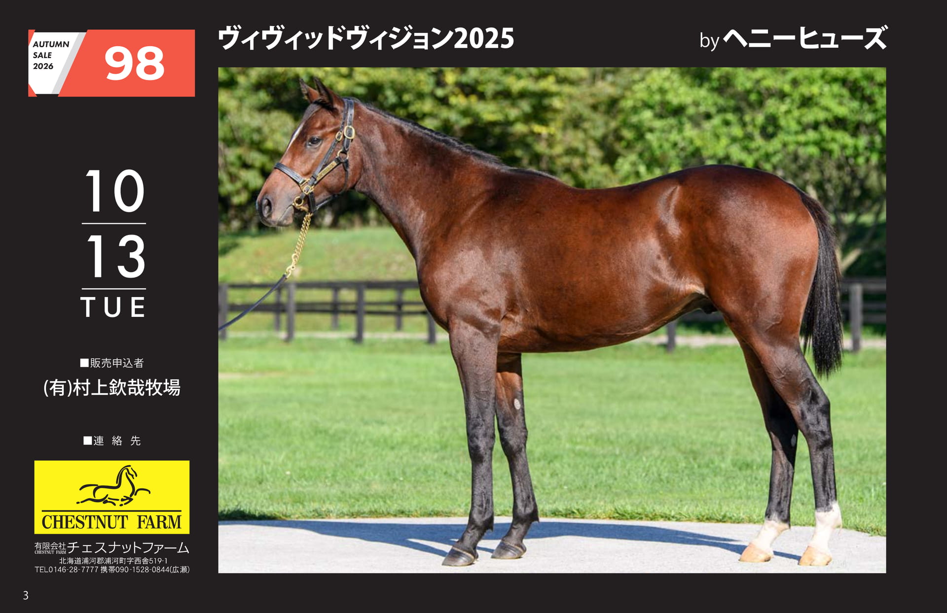 AUTUMN SALE 2026(4ページ目)