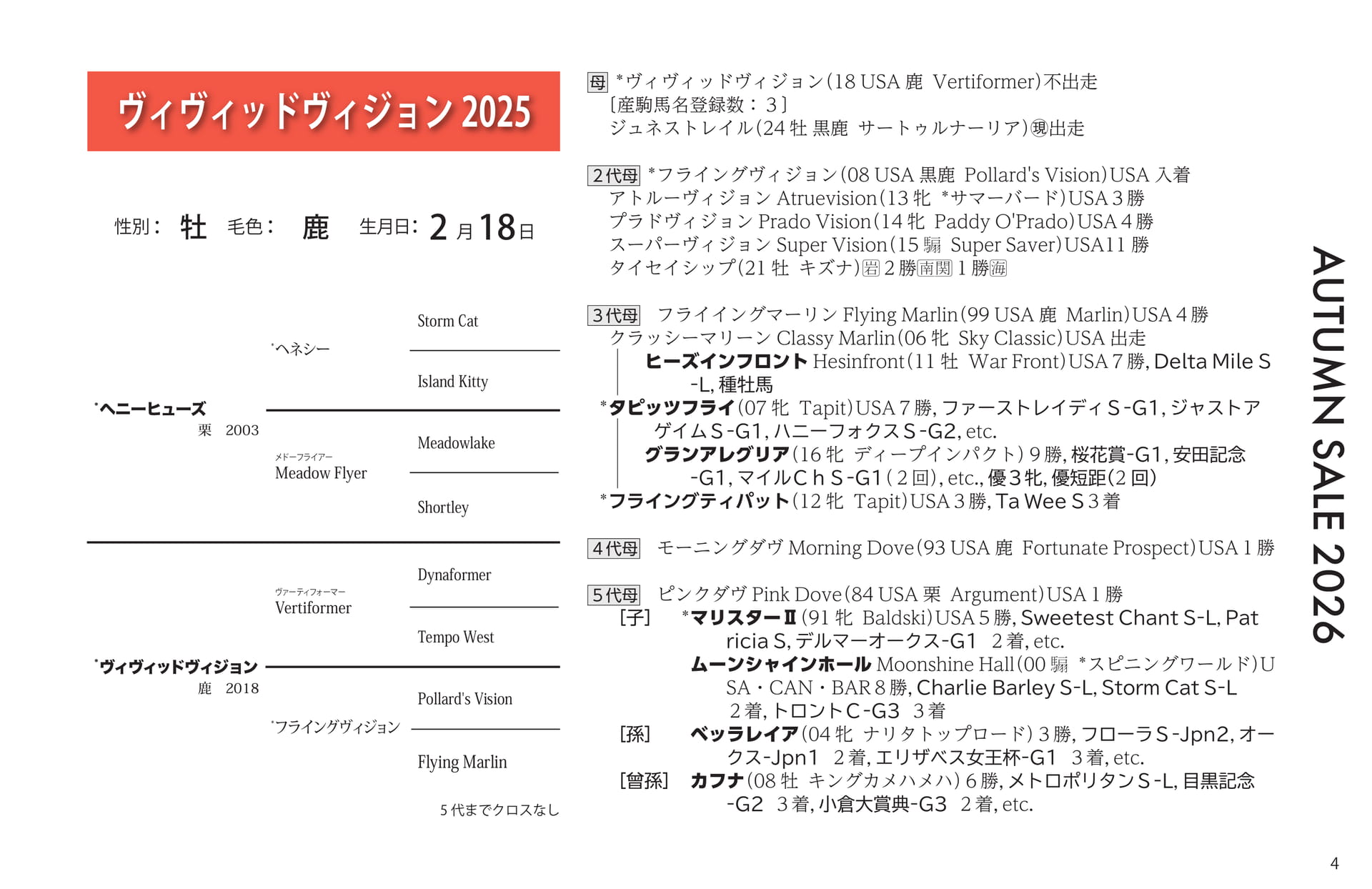 ヴィヴィッドヴィジョン 2025(5ページ目)