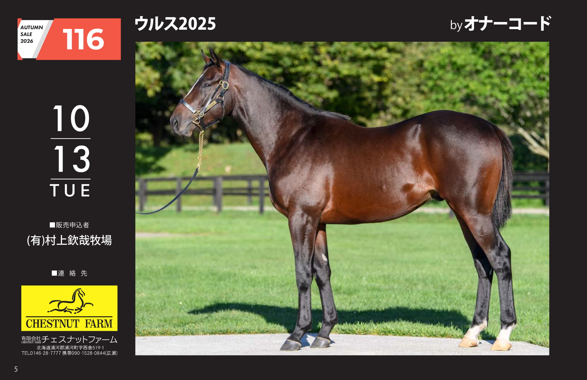 AUTUMN SALE 2026(6ページ目)