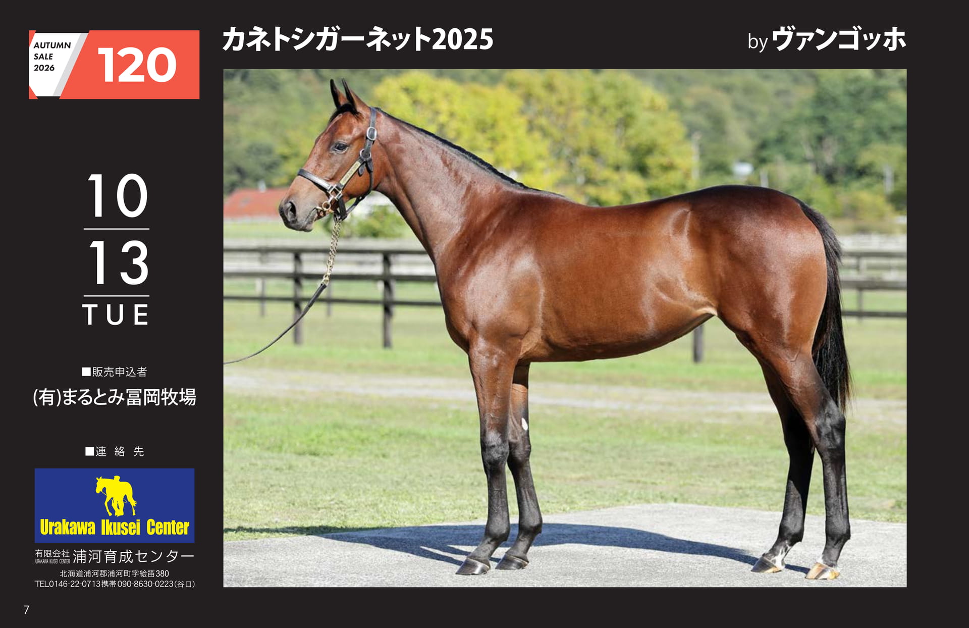 AUTUMN SALE 2026(8ページ目)