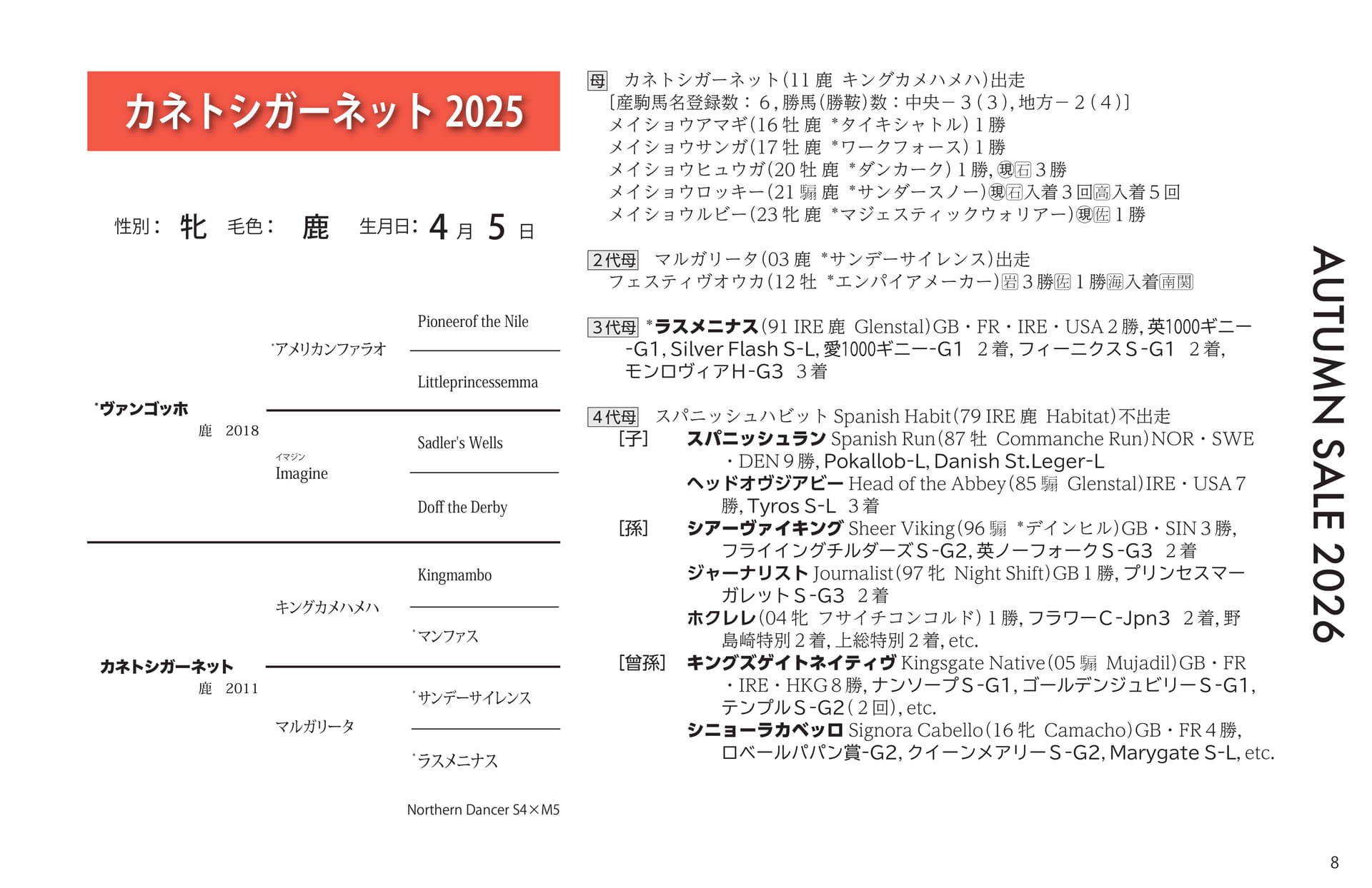 カネトシガーネット 2025(9ページ目)