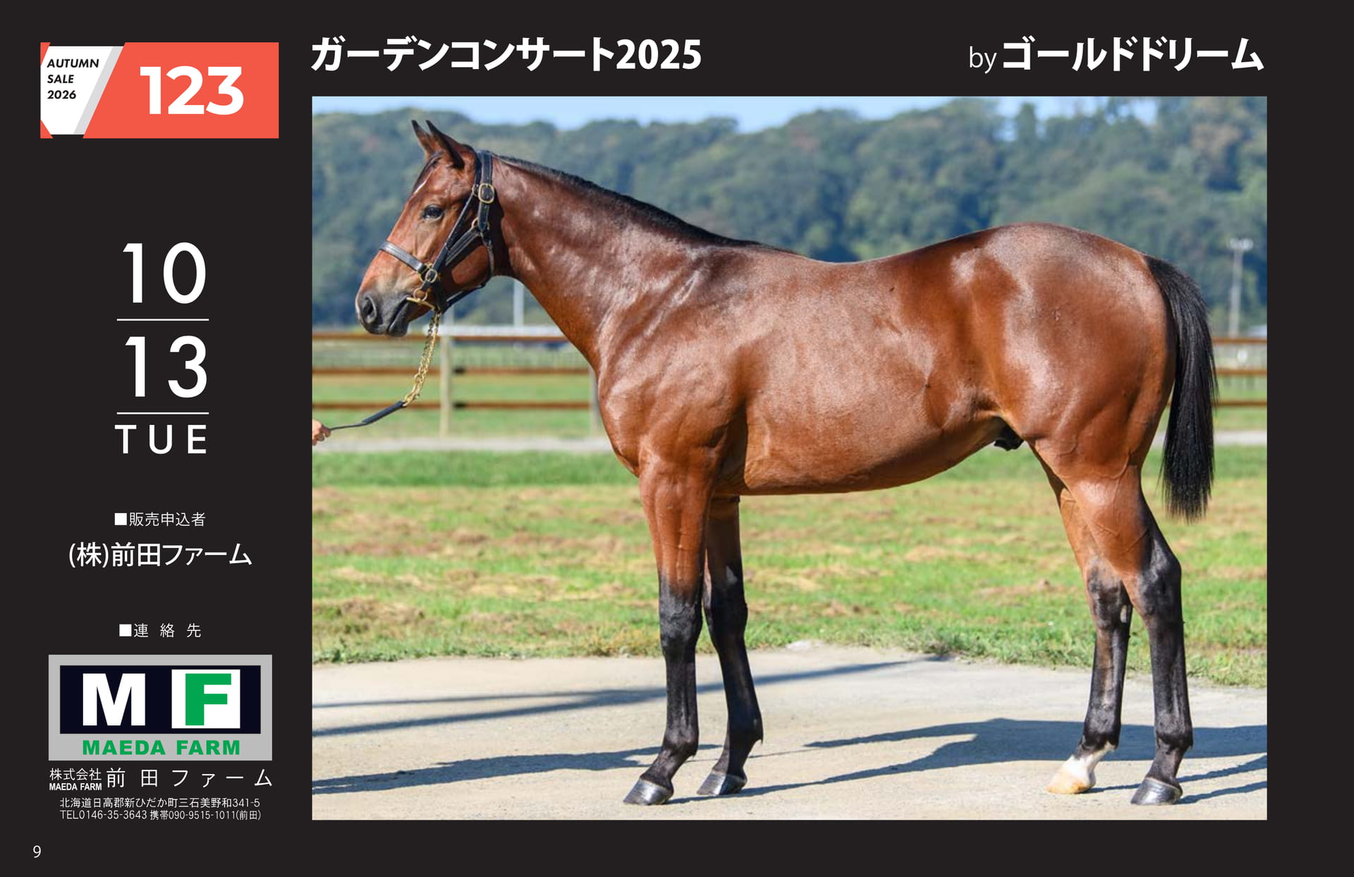 AUTUMN SALE 2026(10ページ目)