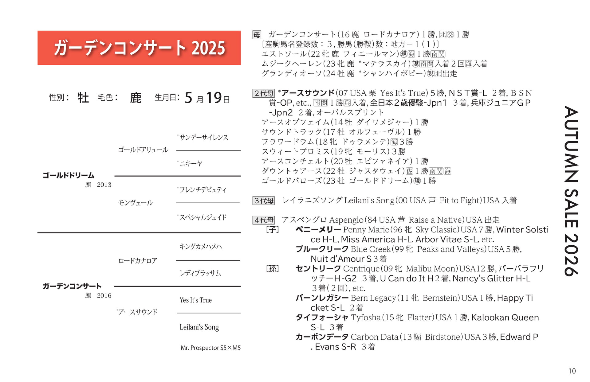 ガーデンコンサート 2025(11ページ目)