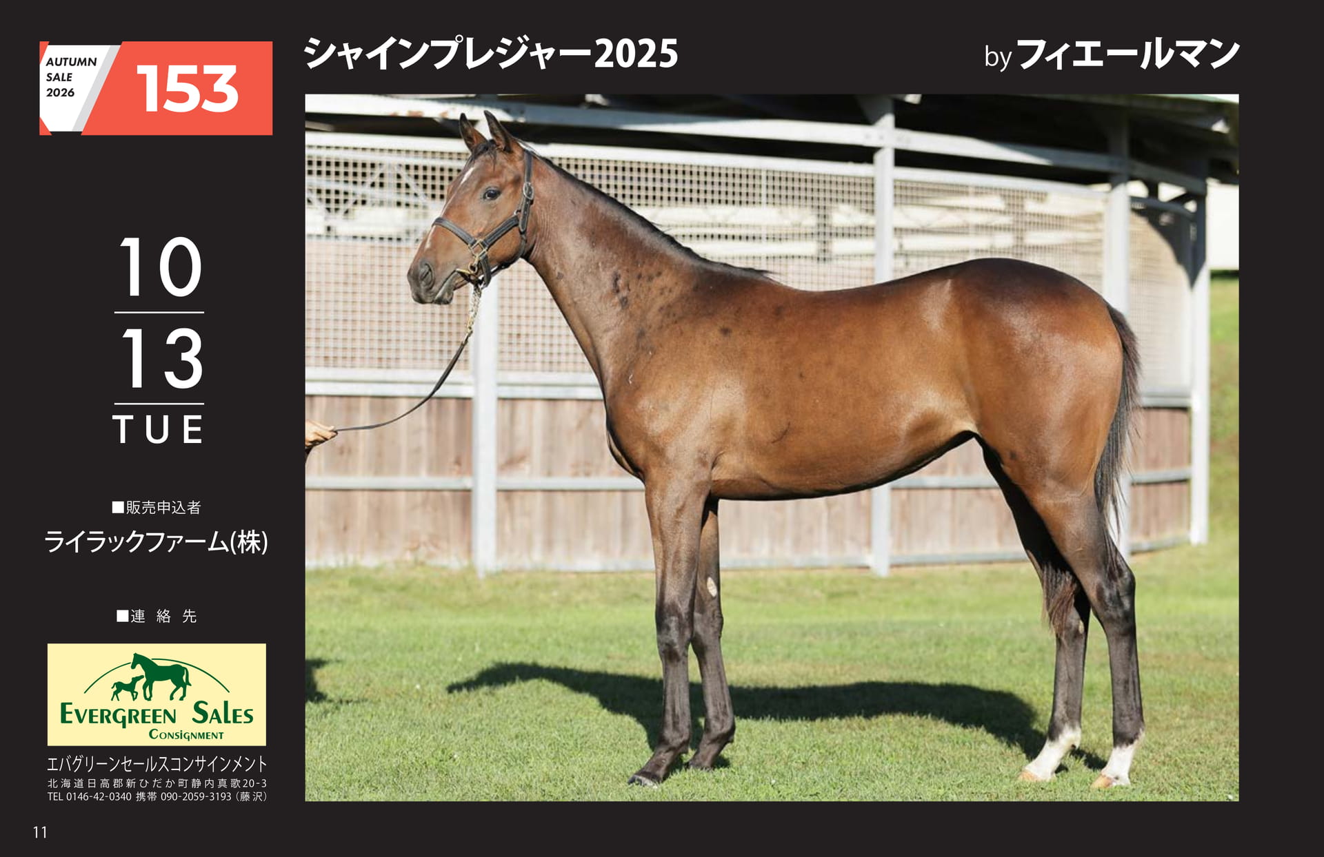 AUTUMN SALE 2026(12ページ目)