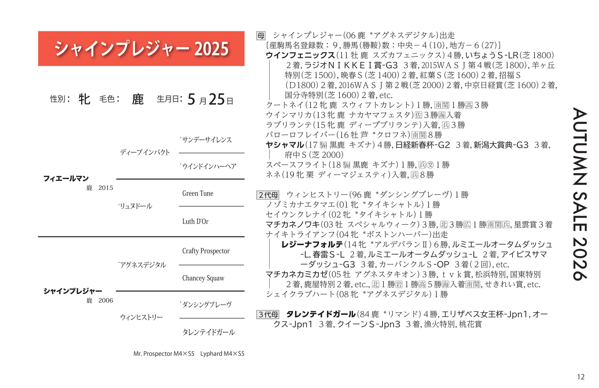 シャインプレジャー 2025(13ページ目)