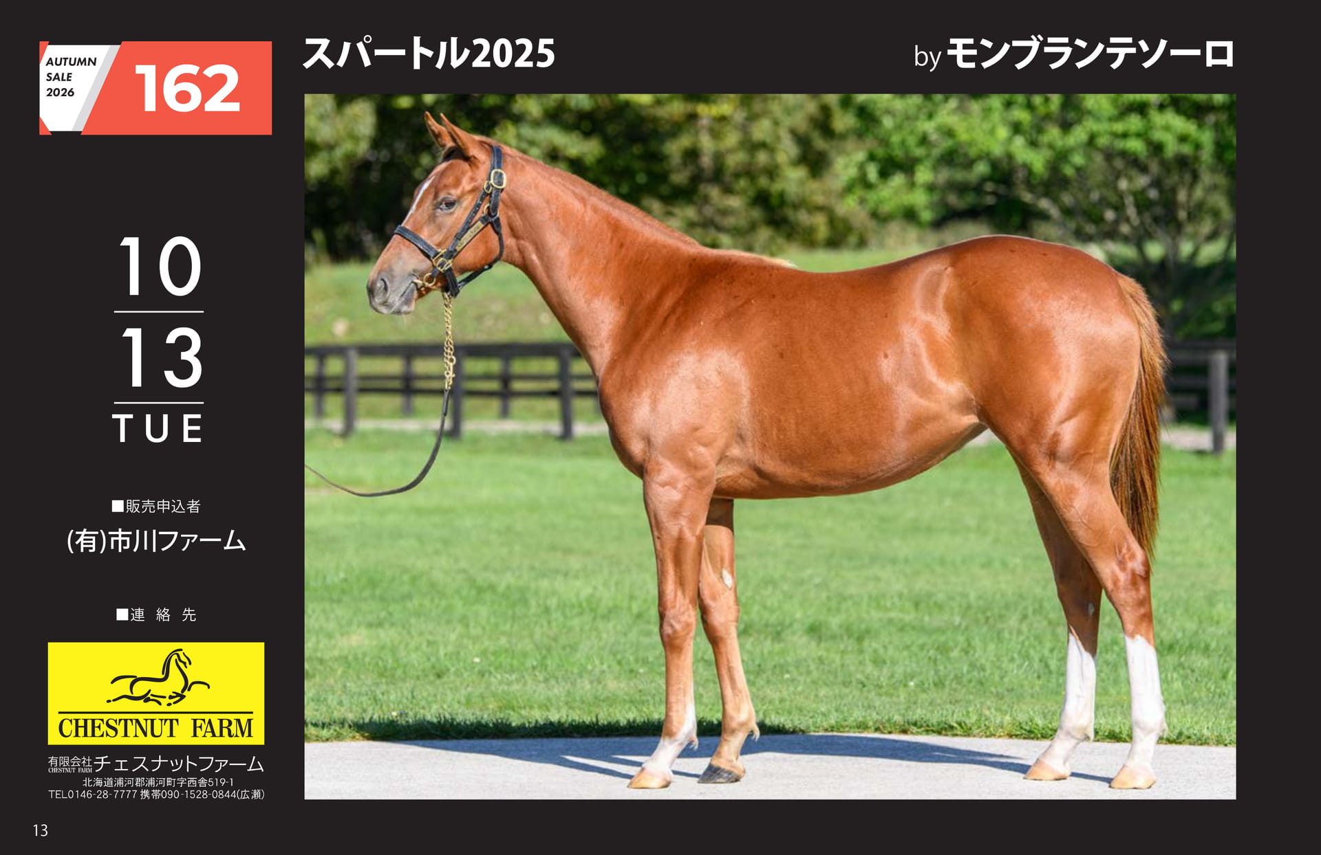 AUTUMN SALE 2026(14ページ目)