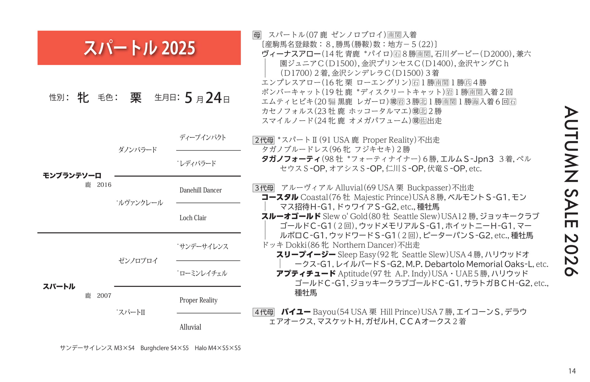 スパートル 2025(15ページ目)
