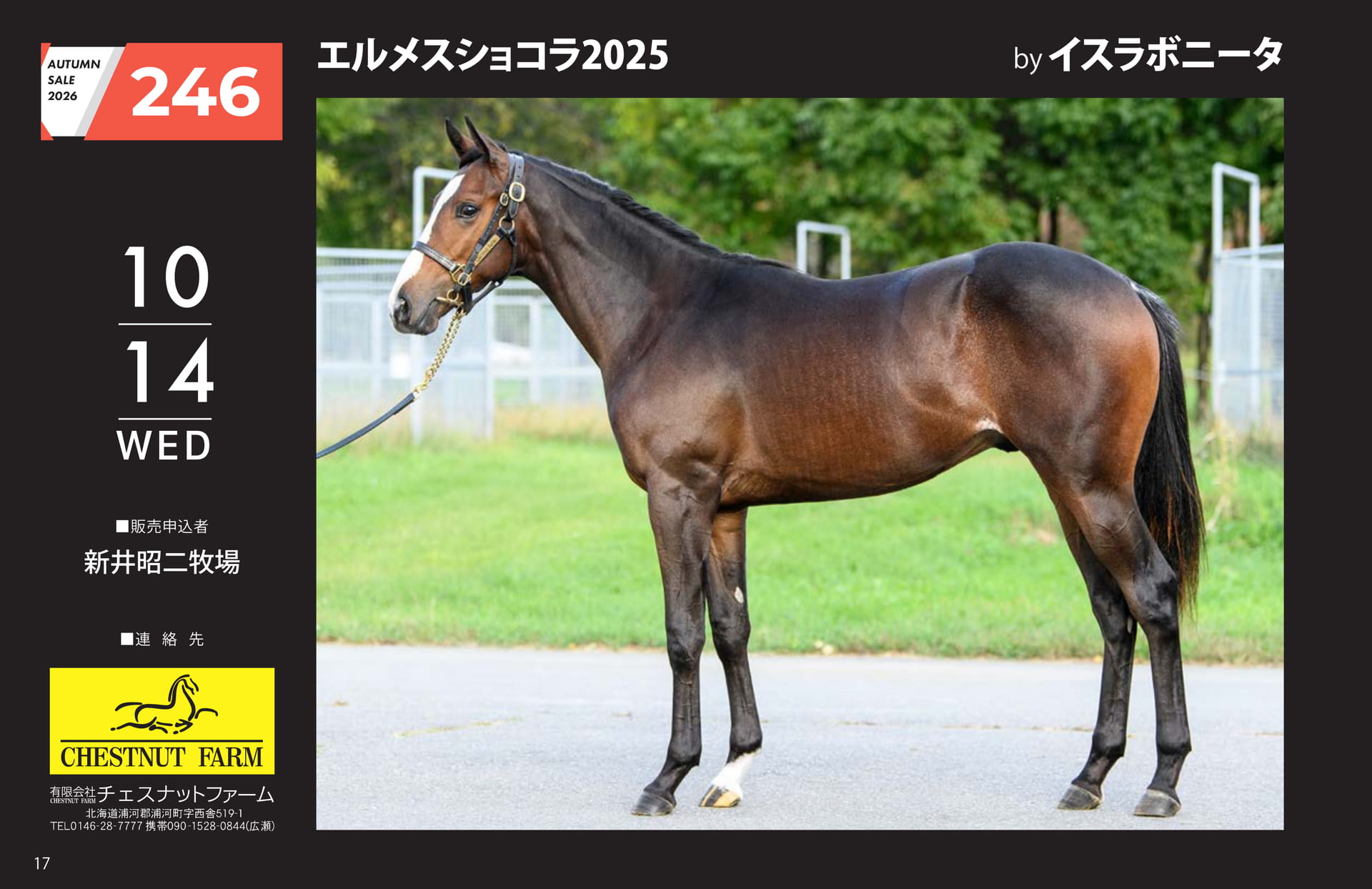 AUTUMN SALE 2026(18ページ目)