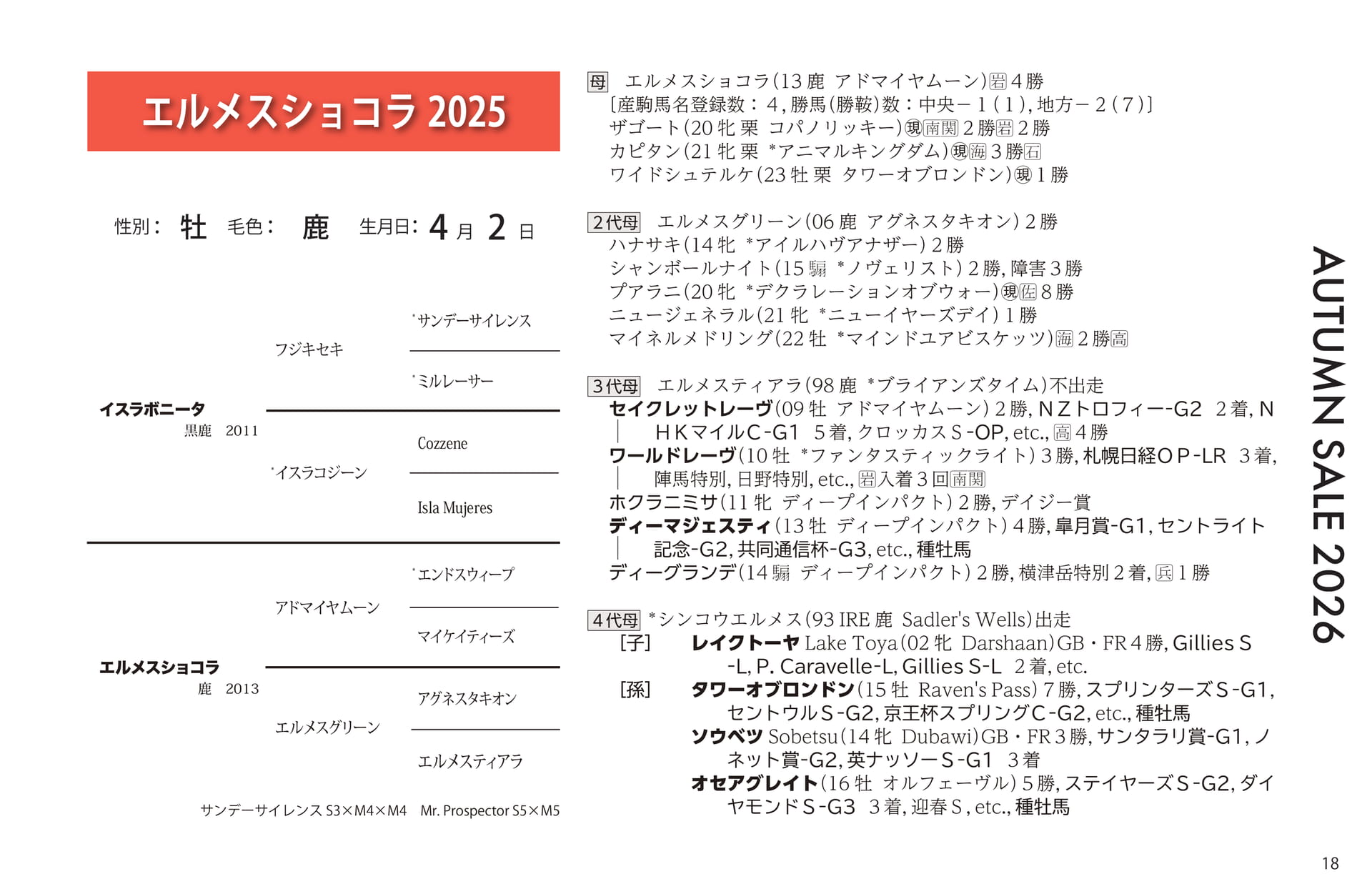 エルメスショコラ 2025(19ページ目)