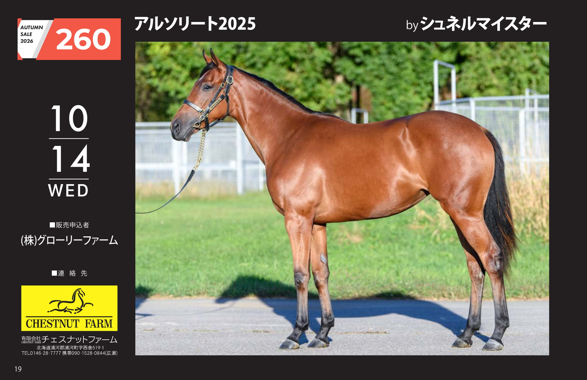 AUTUMN SALE 2026(20ページ目)