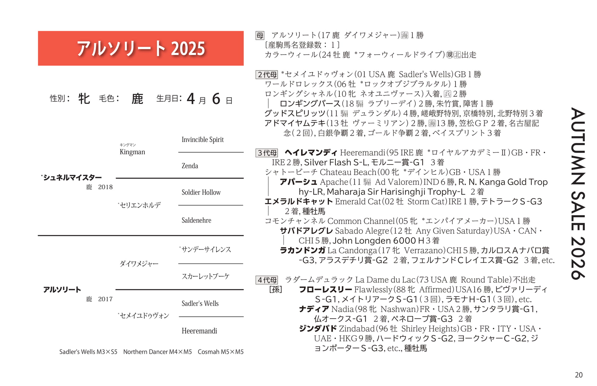アルソリート 2025(21ページ目)