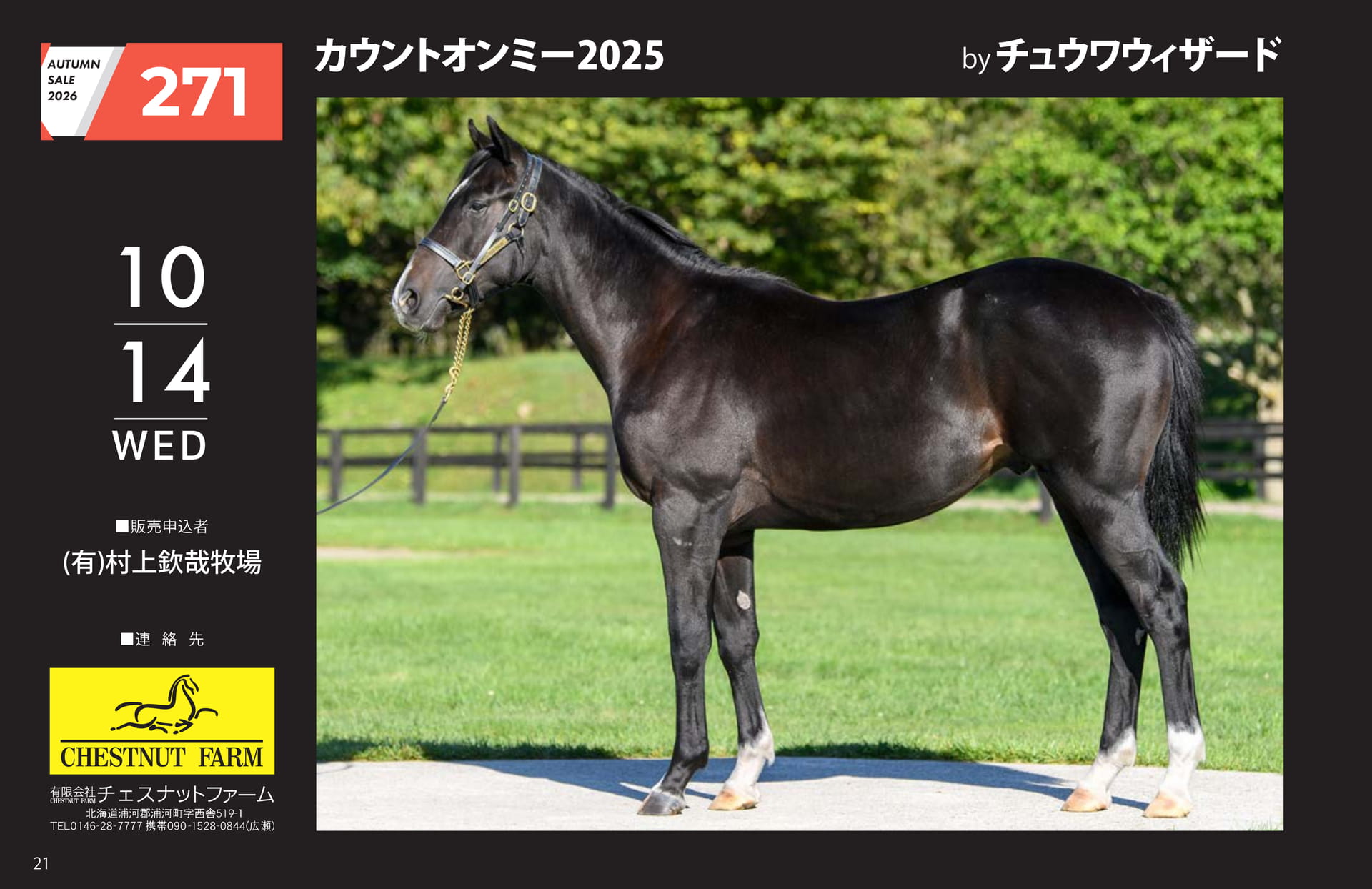 AUTUMN SALE 2026(22ページ目)
