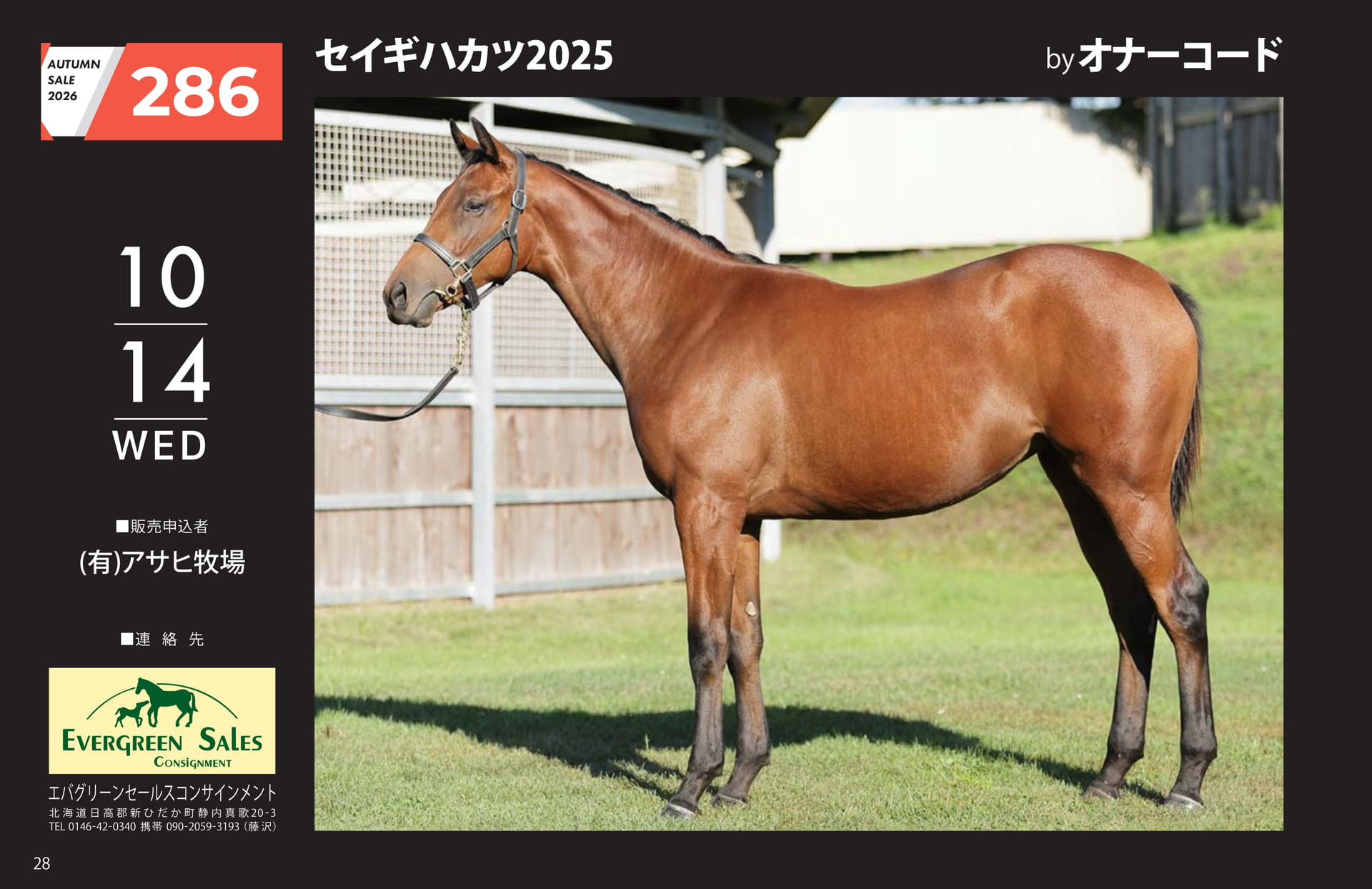 AUTUMN SALE 2026(26ページ目)