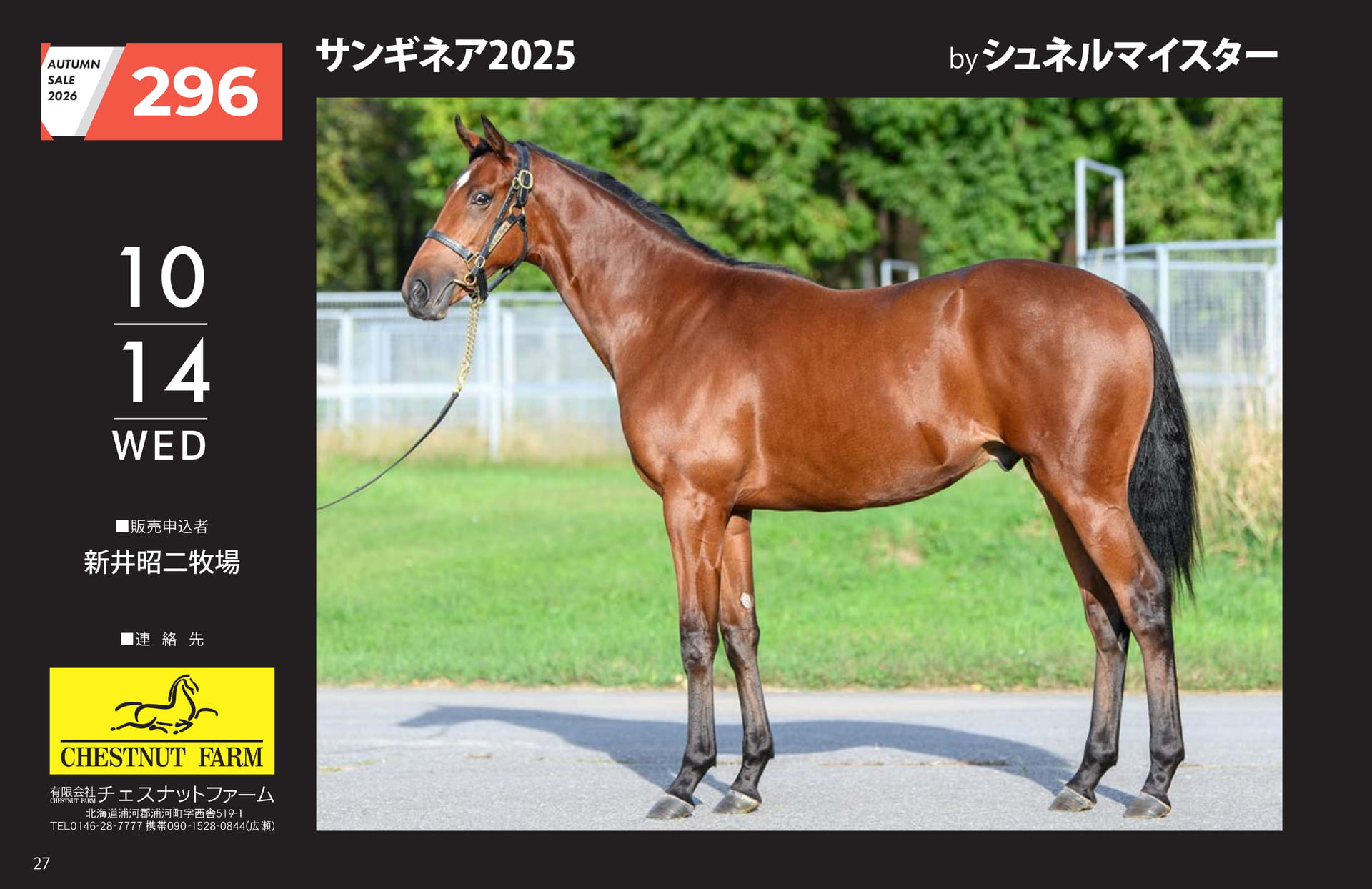 AUTUMN SALE 2026(28ページ目)