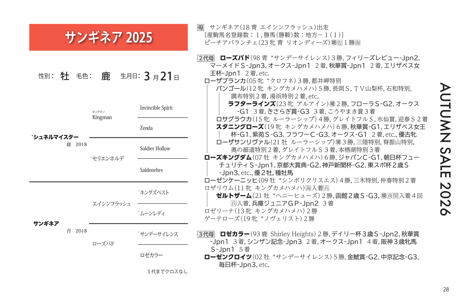 サンギネア 2025(29ページ目)