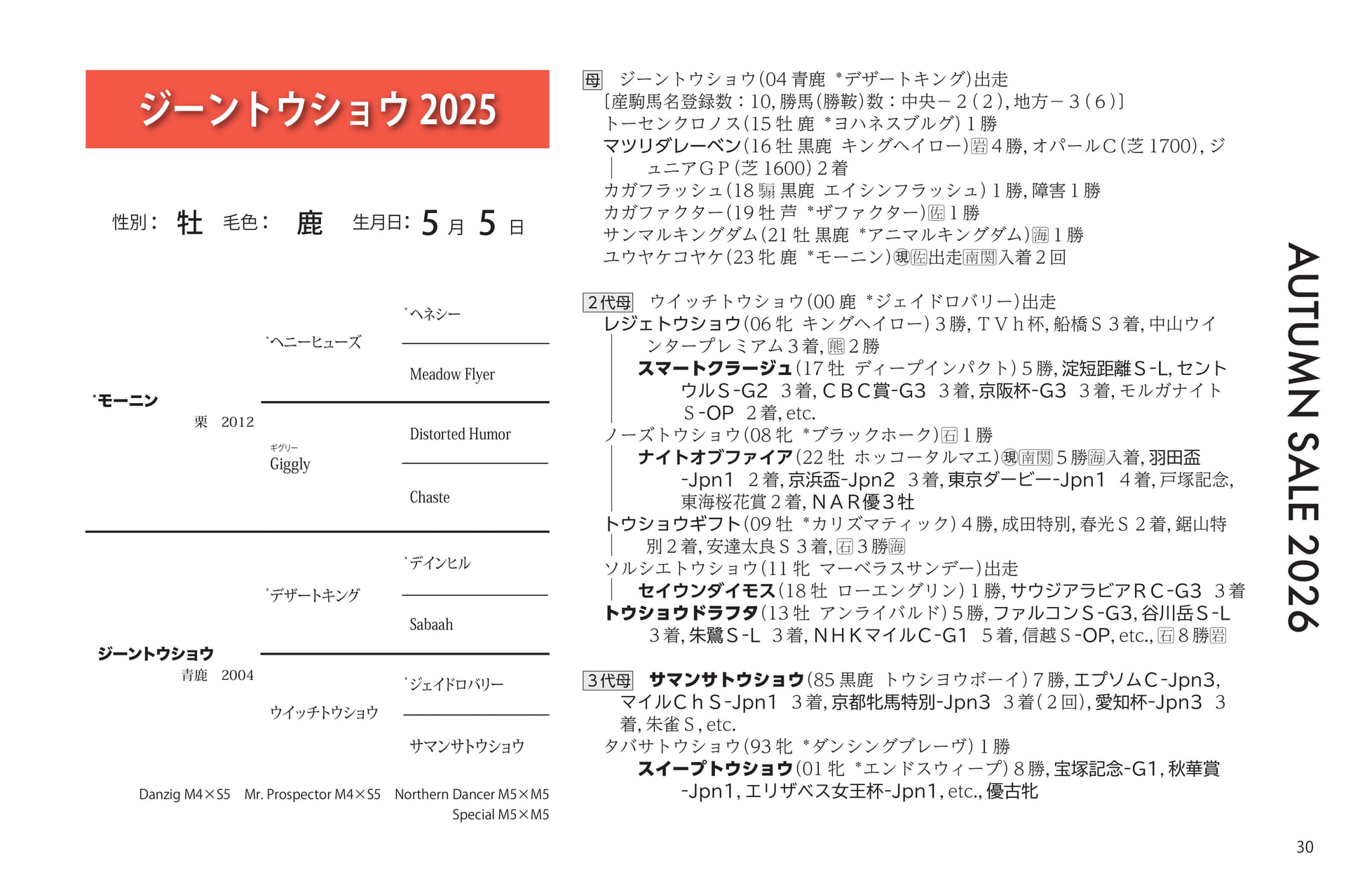 ジーントウショウ 2025(31ページ目)