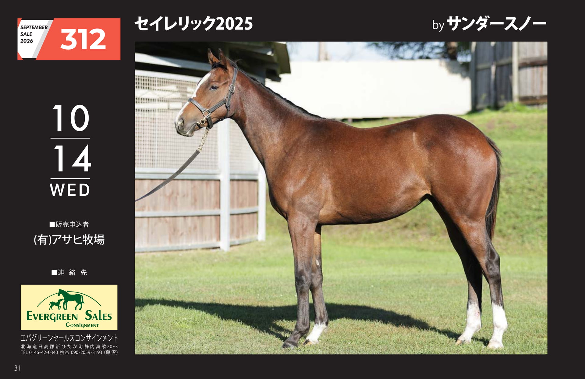 SEPTEMBER SALE 2026(32ページ目)