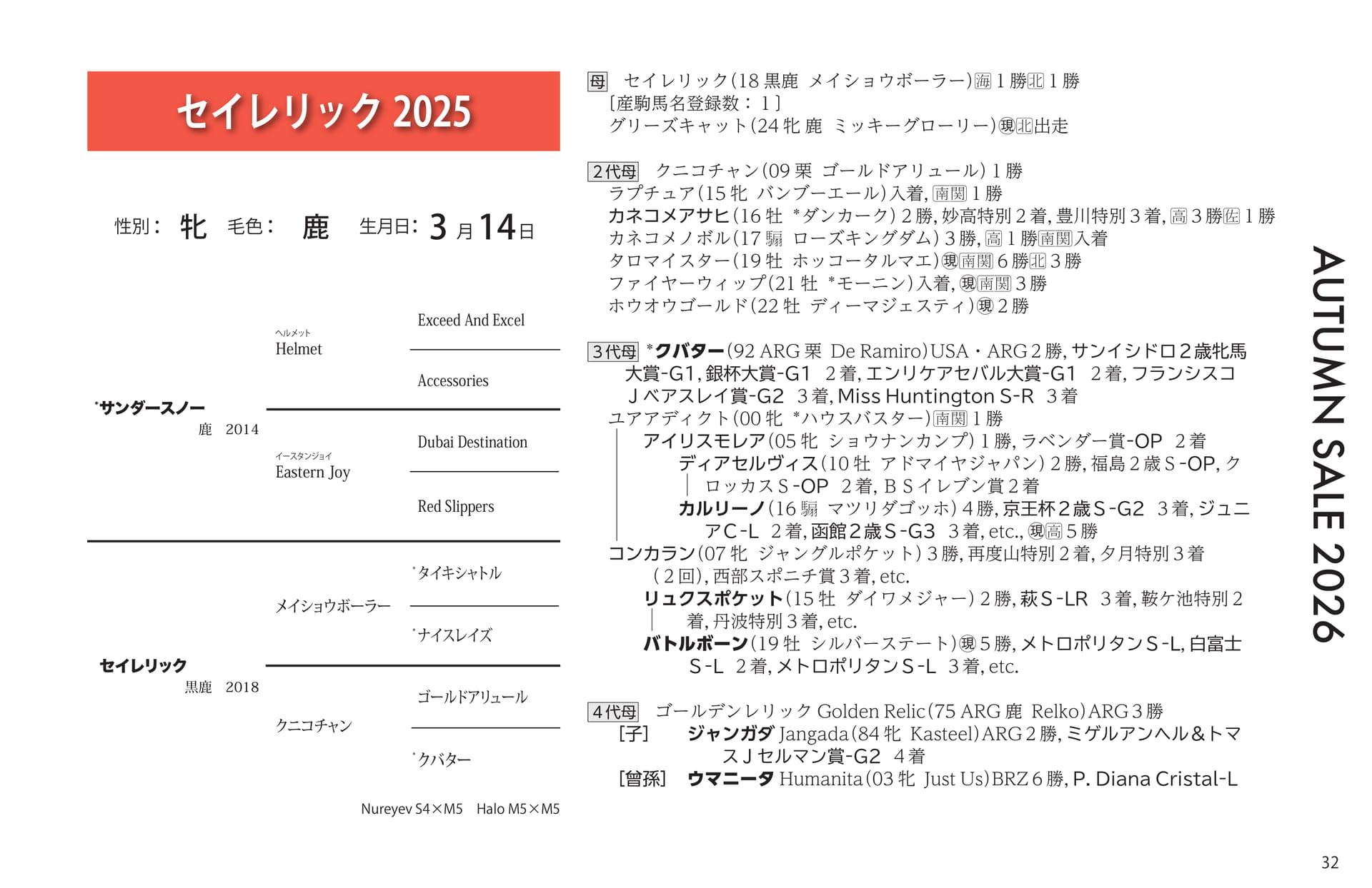 セイレリック 2025(33ページ目)