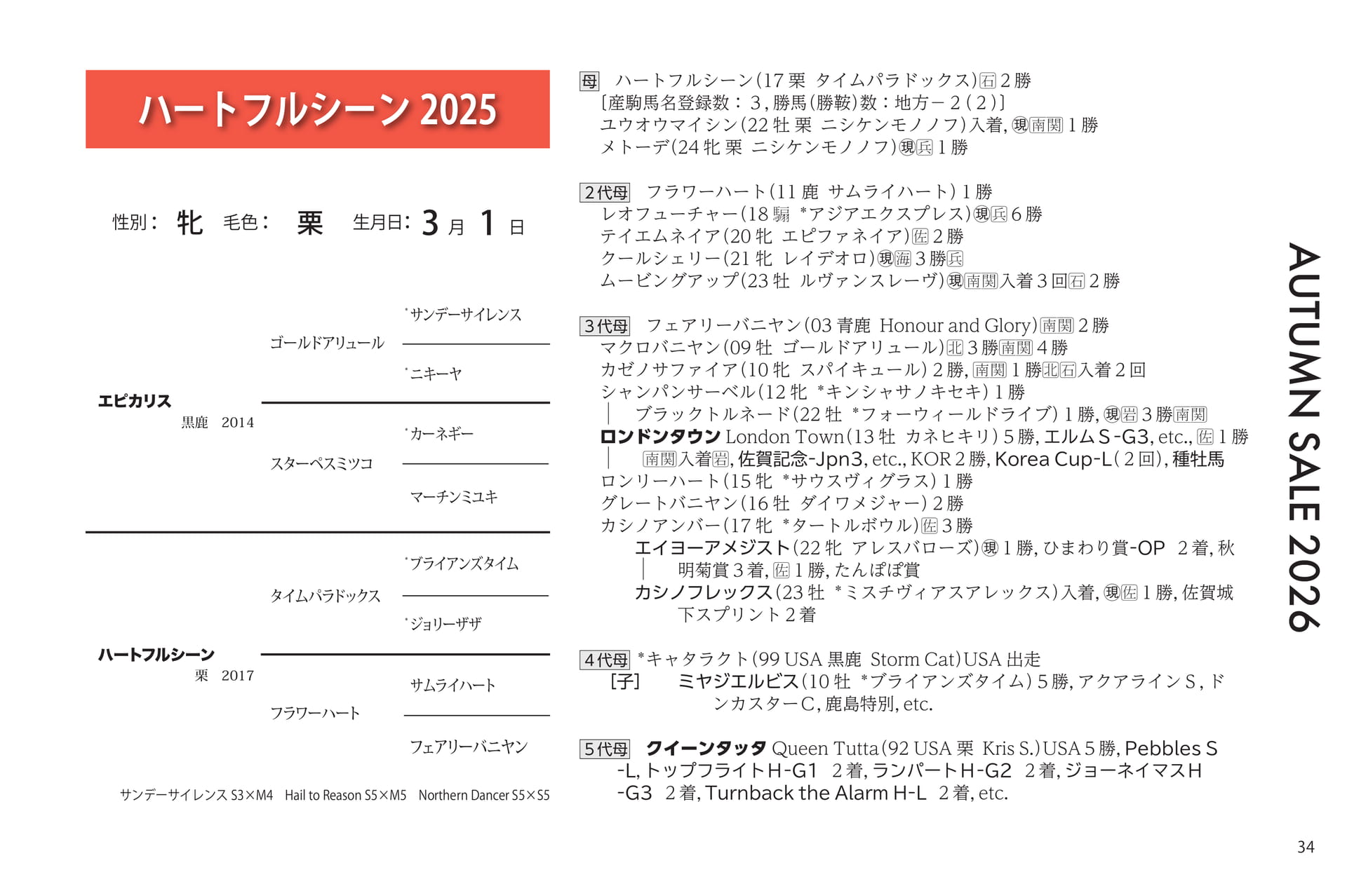 ハートフルシーン 2025(35ページ目)