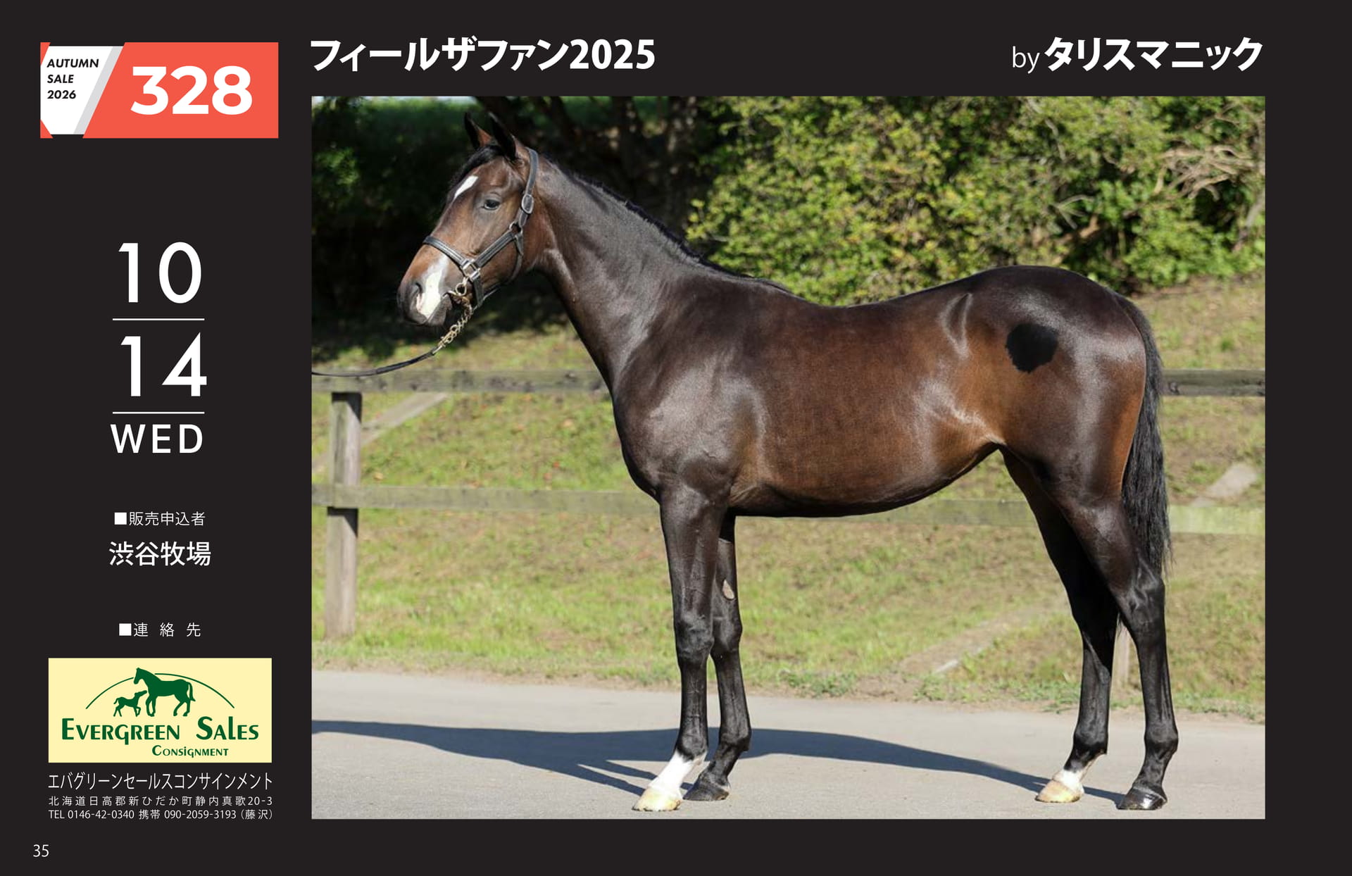 AUTUMN SALE 2026(36ページ目)