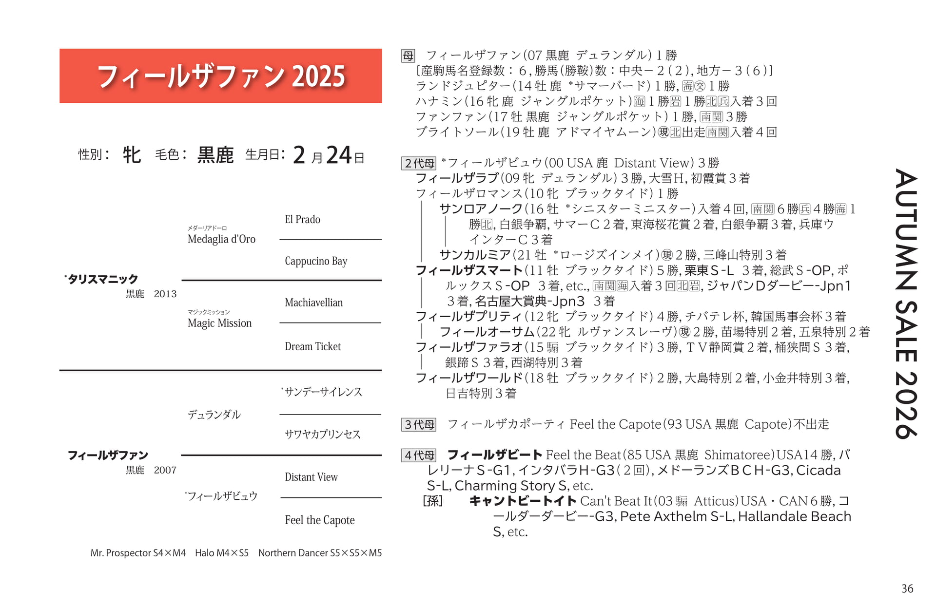 フィールザファン 2025(37ページ目)