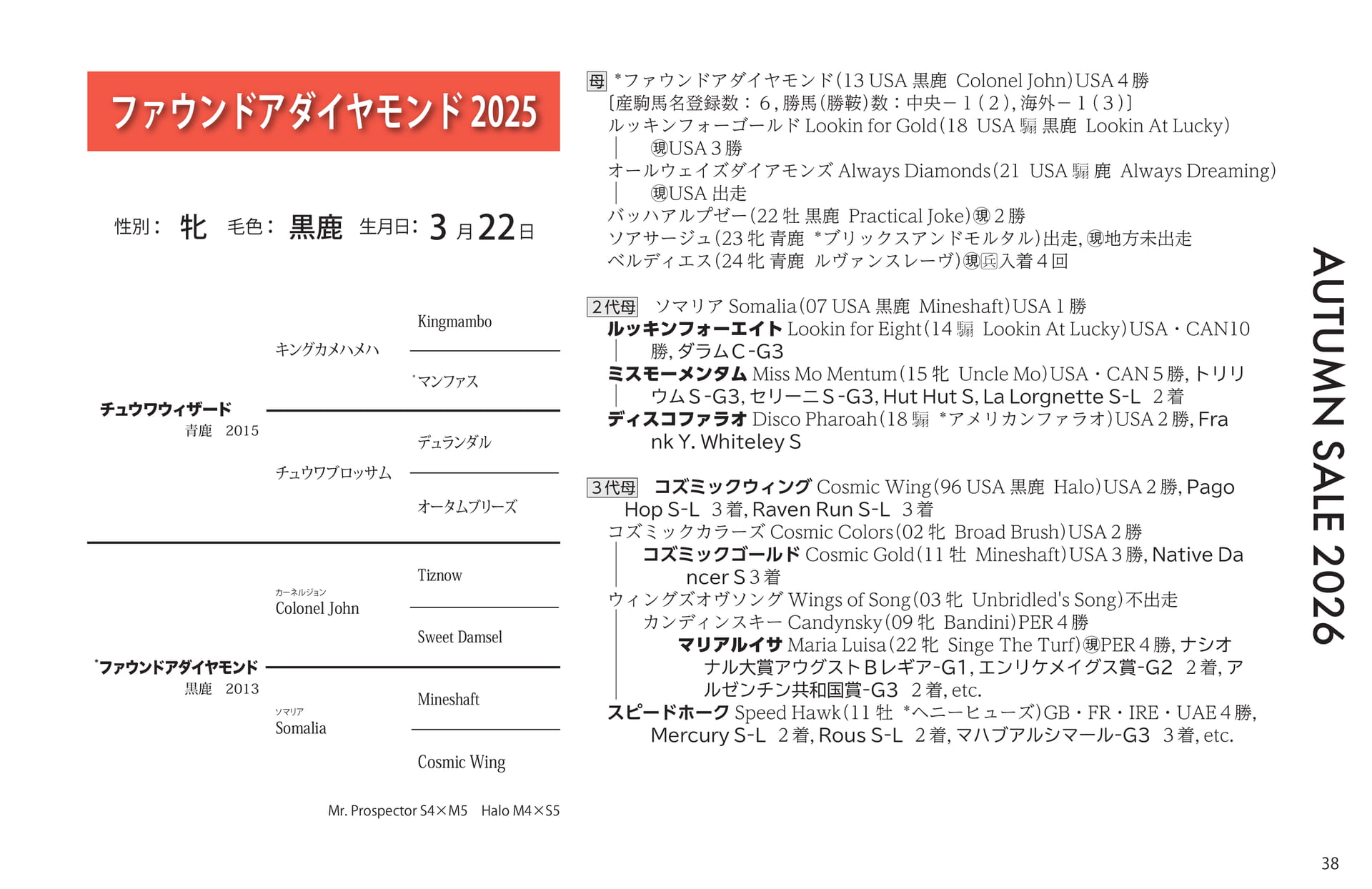 ファウンドアダイヤモンド 2025(39ページ目)