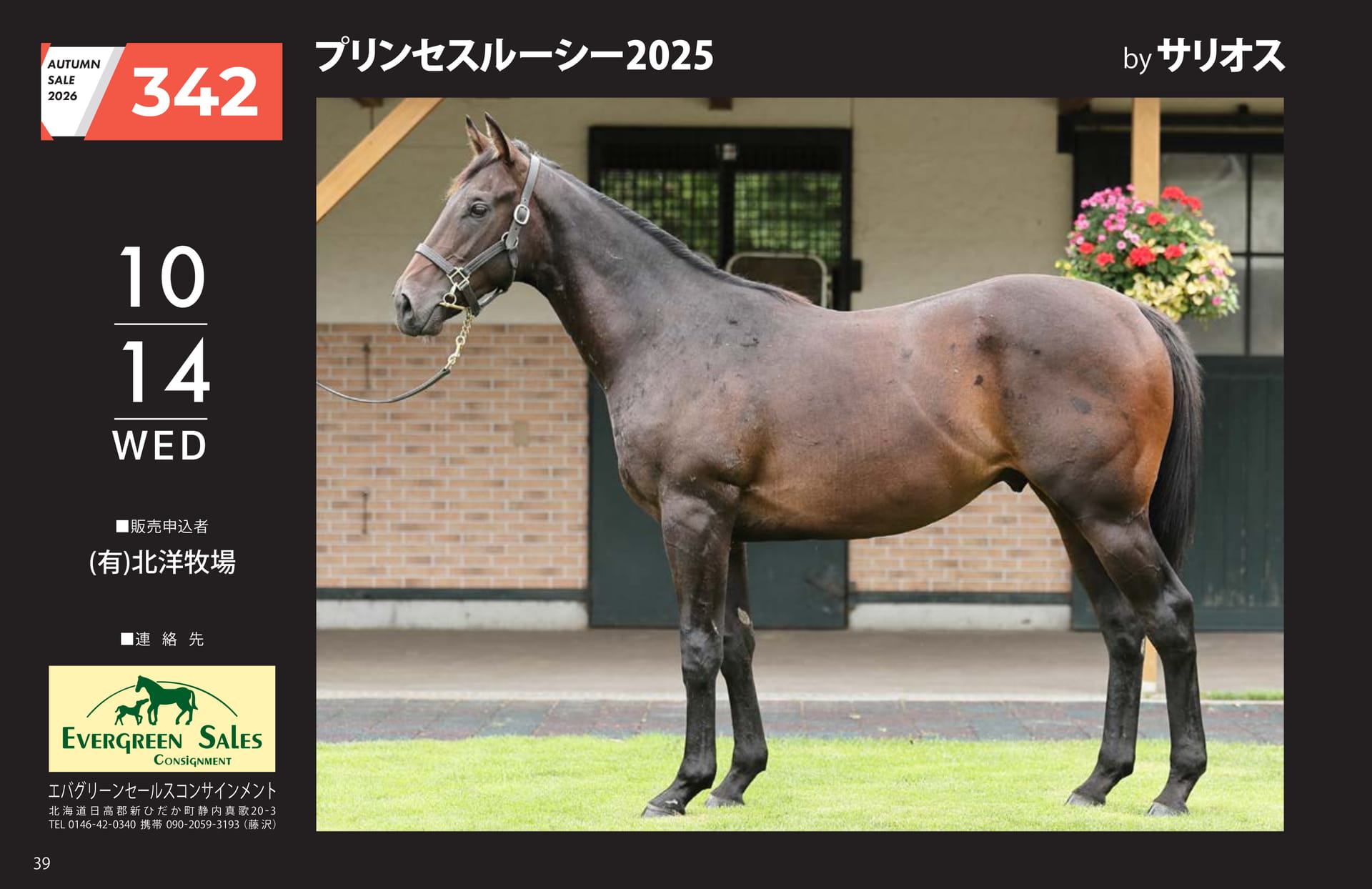 AUTUMN SALE 2026(40ページ目)