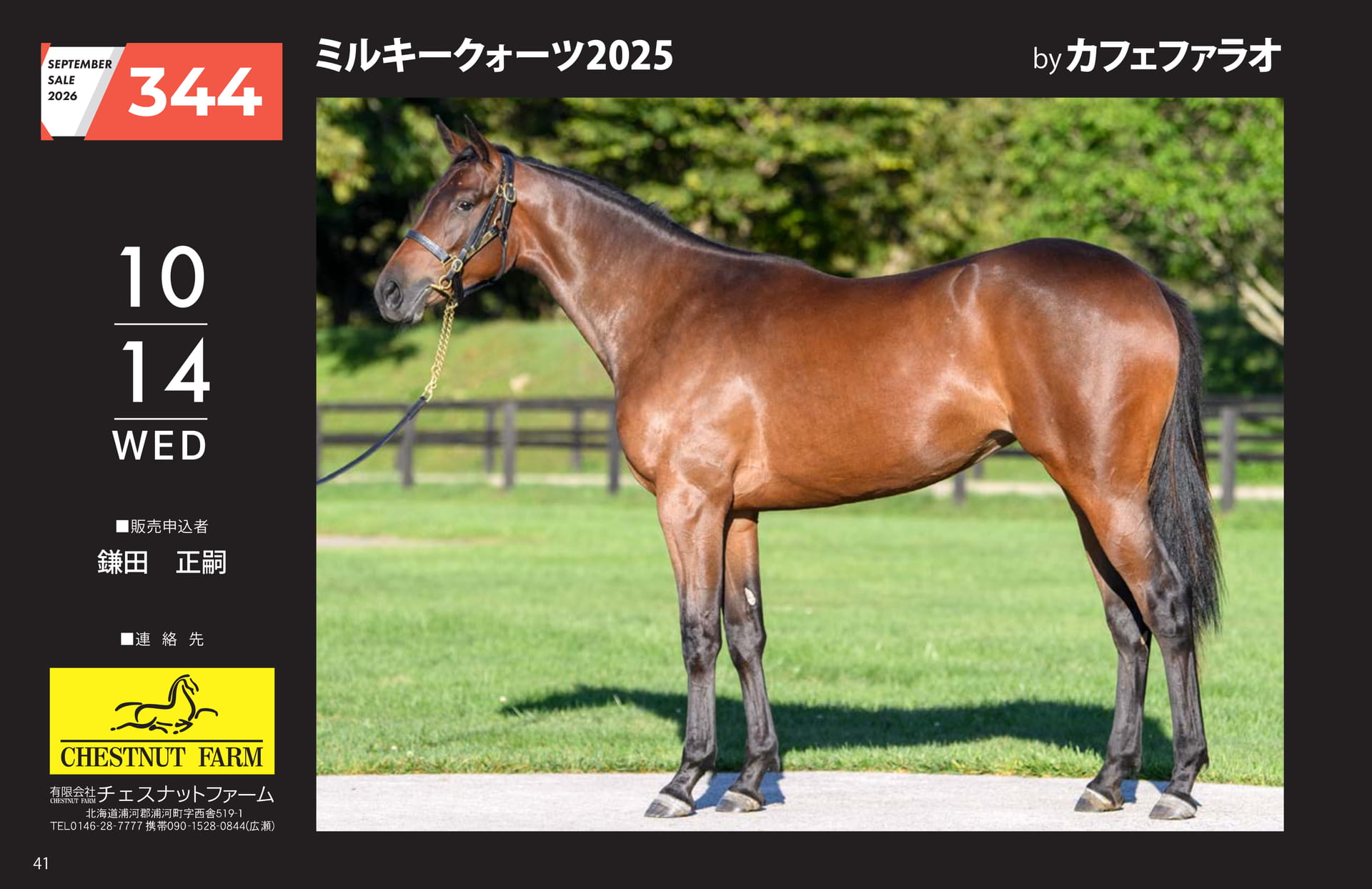 SEPTEMBER SALE 2026(42ページ目)