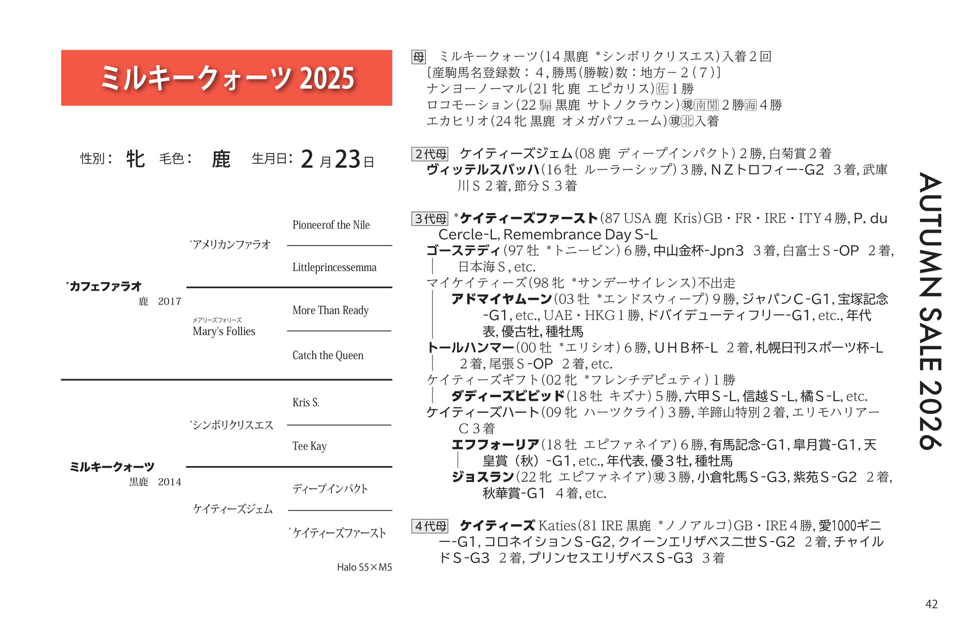 ミルキークォーツ 2025(43ページ目)