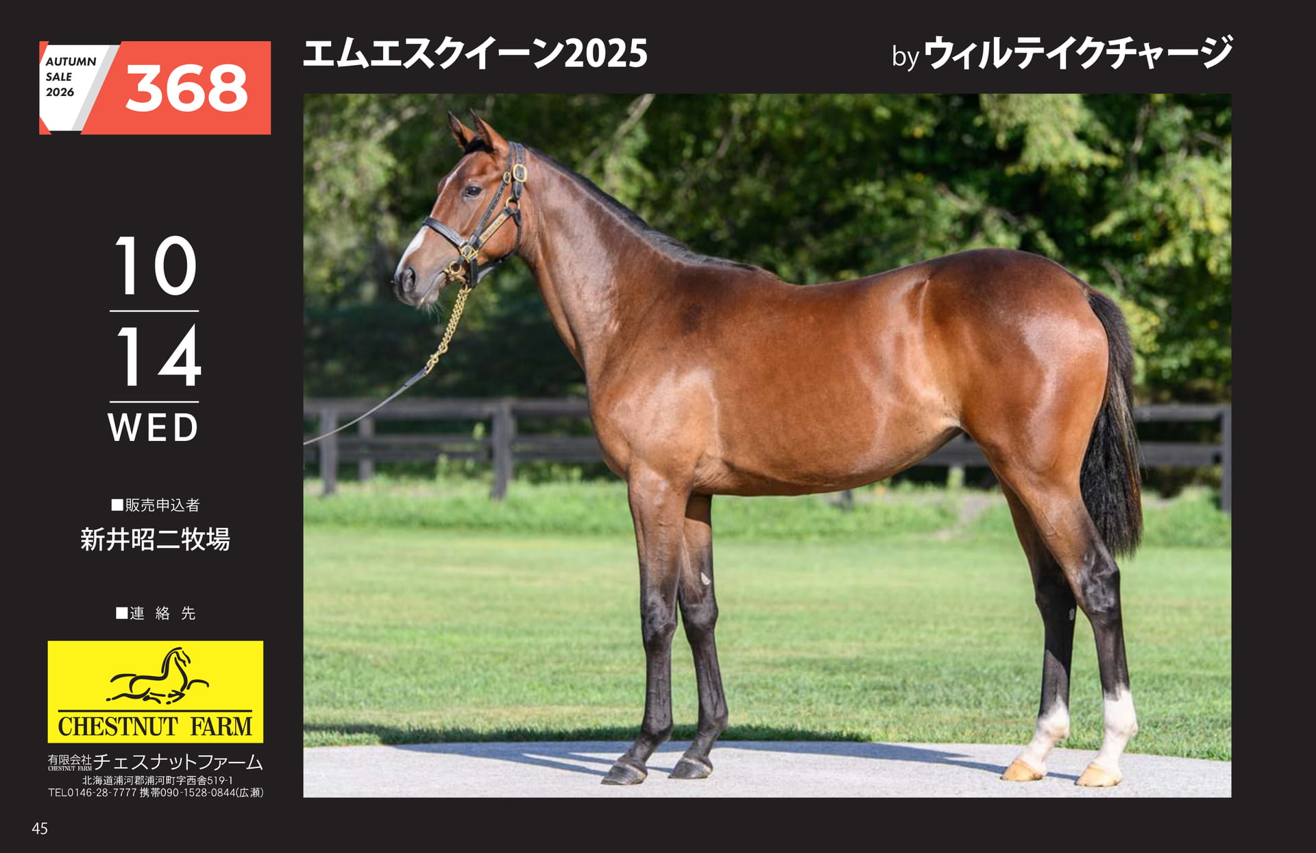 AUTUMN SALE 2026(46ページ目)