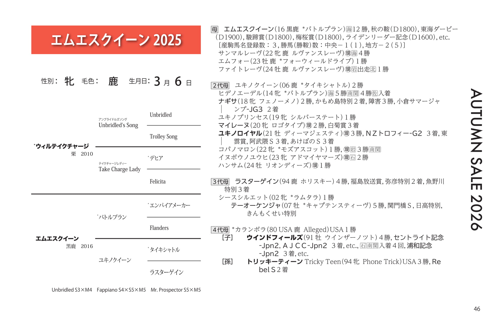 エムエスクイーン 2025(47ページ目)