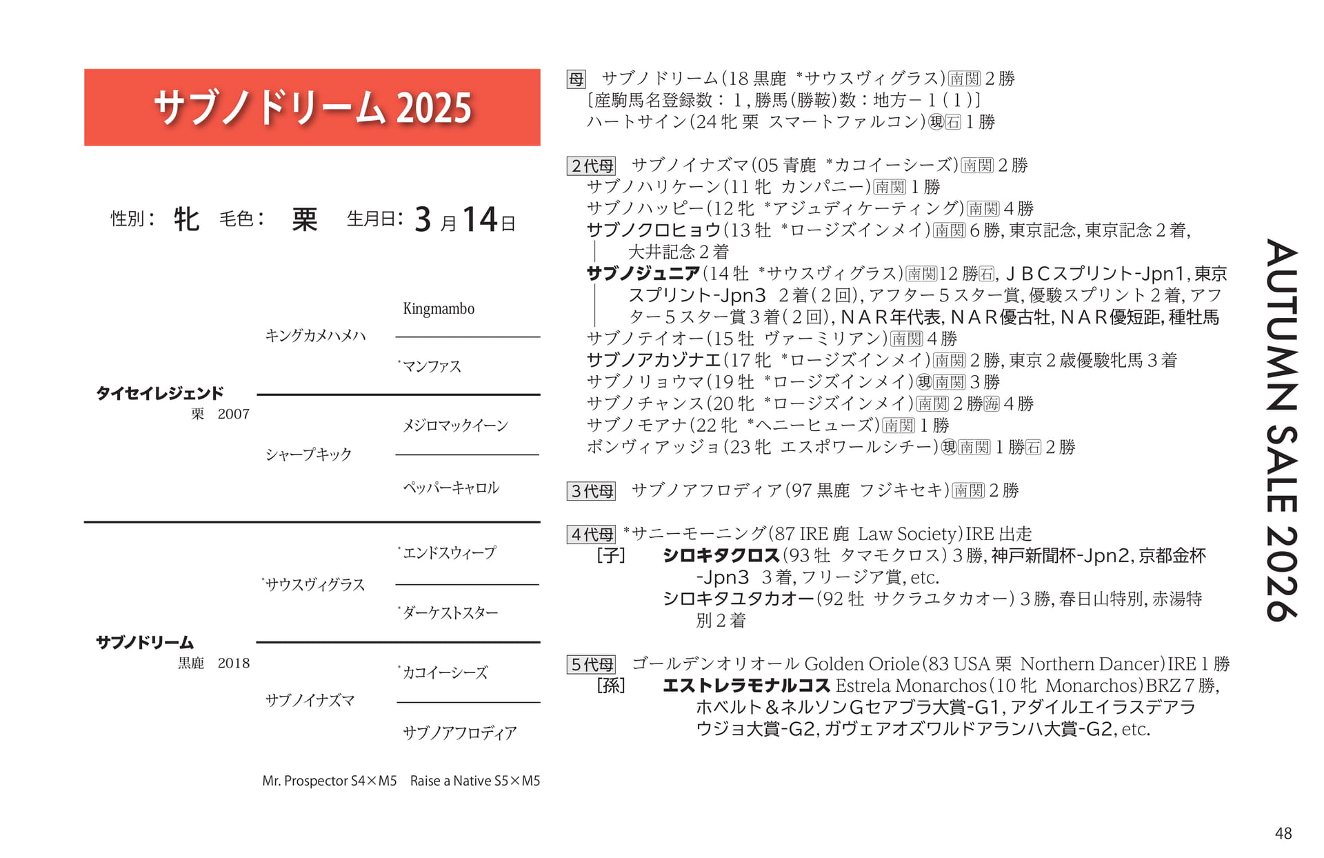 サブノドリーム 2025(49ページ目)