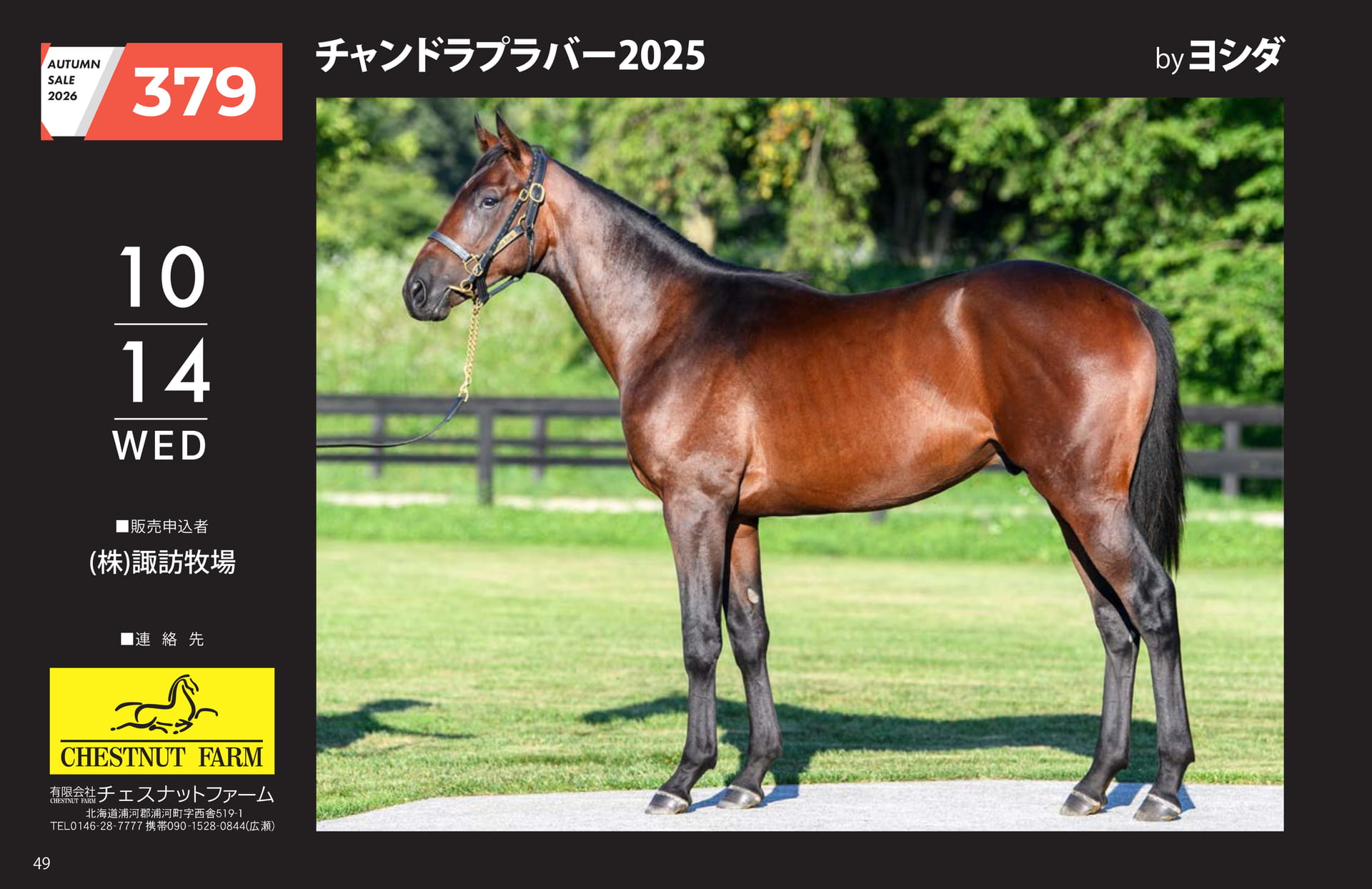 AUTUMN SALE 2026(50ページ目)